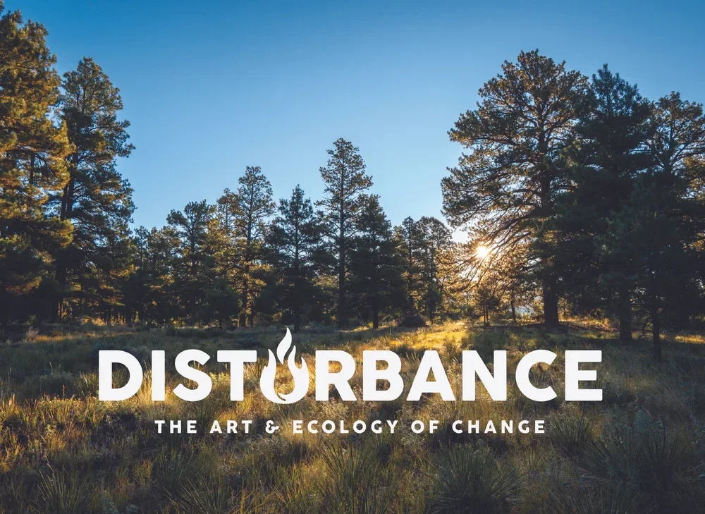 Disturbance: The Art and Ecology of Change
