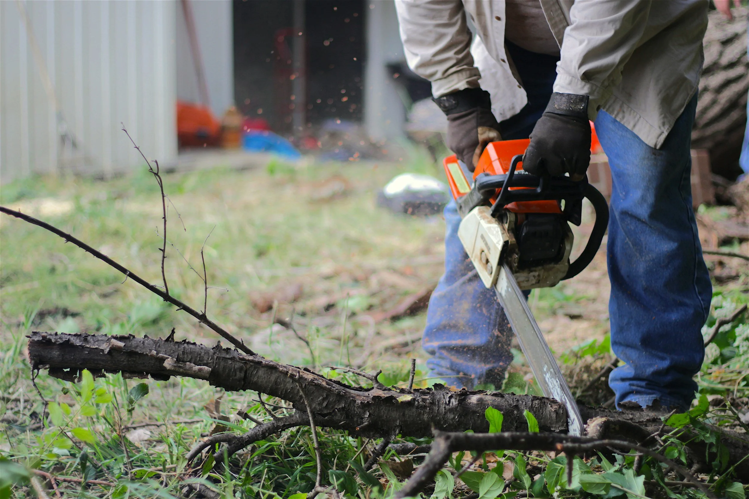 Women's Chainsaw Operation and Safety Workshop