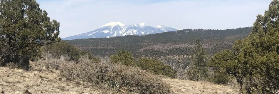 Fire Regimes of the Southwest Resources