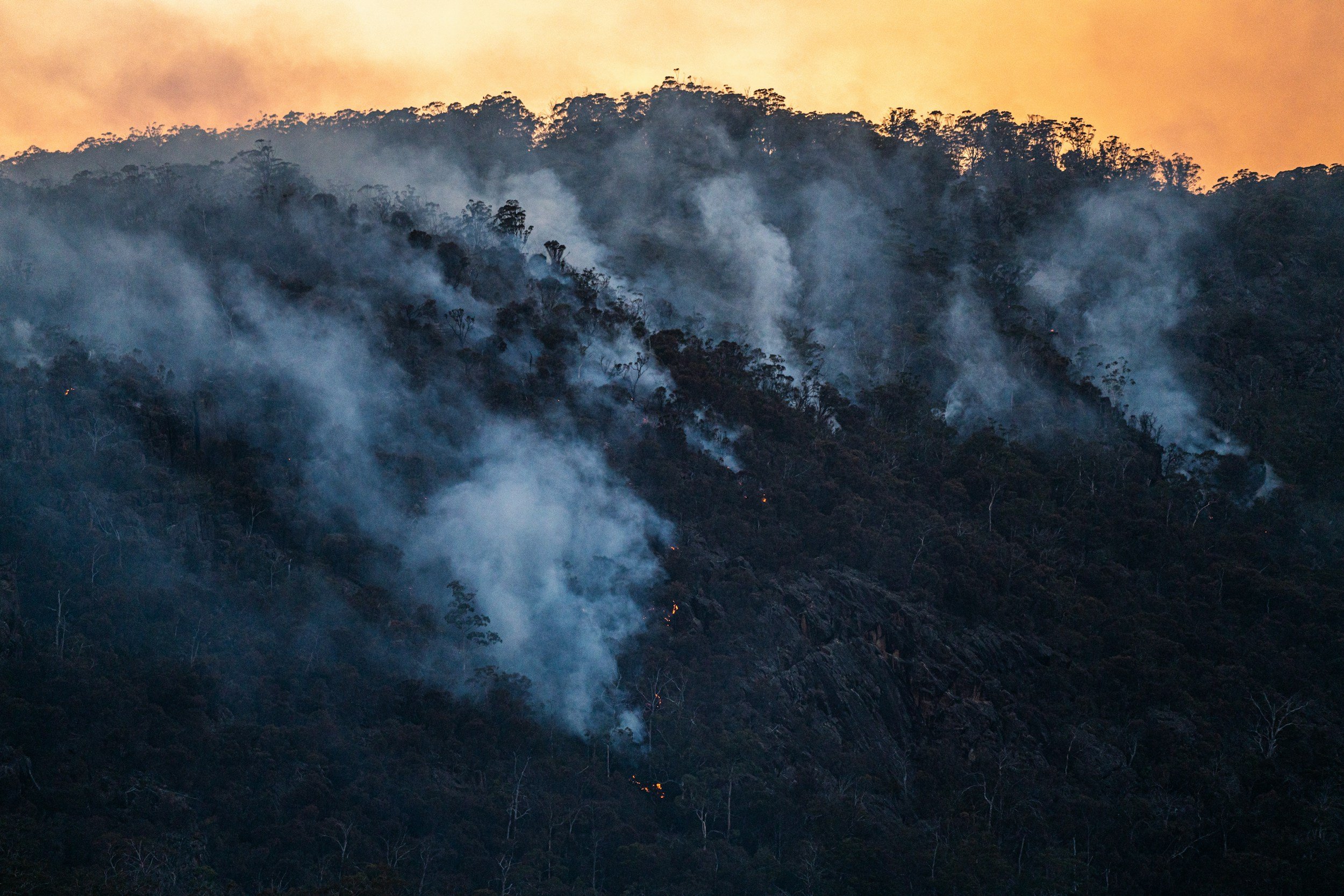 The Impact of the LA Fire Ash Plume on the Ocean from Air to Water Quality
