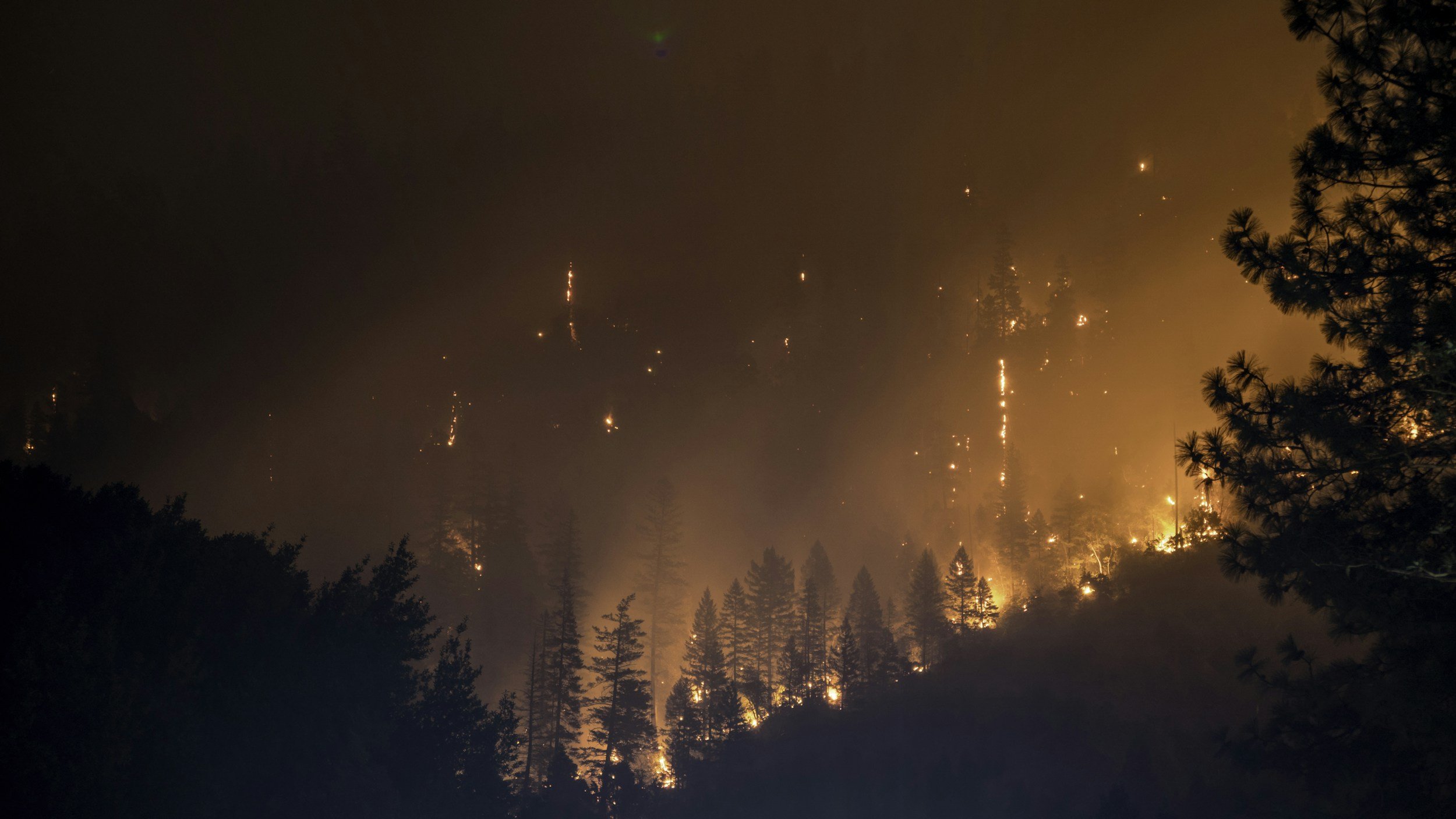 Landscaping for Wildfire Resilience 3