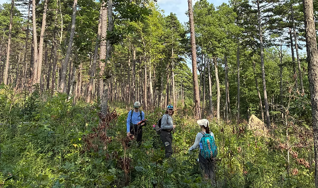 Fueling Collaboration: Seeing Fire Differently: The Next Era of Wildland Fire Monitoring