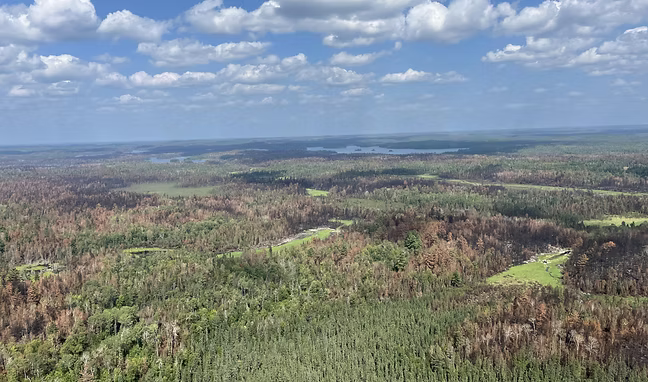 Fueling Collaboration: Considering the Impacts of Scale to Wildlife in Prescribed Fire Planning