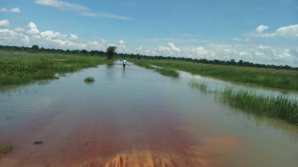 Flooded Road