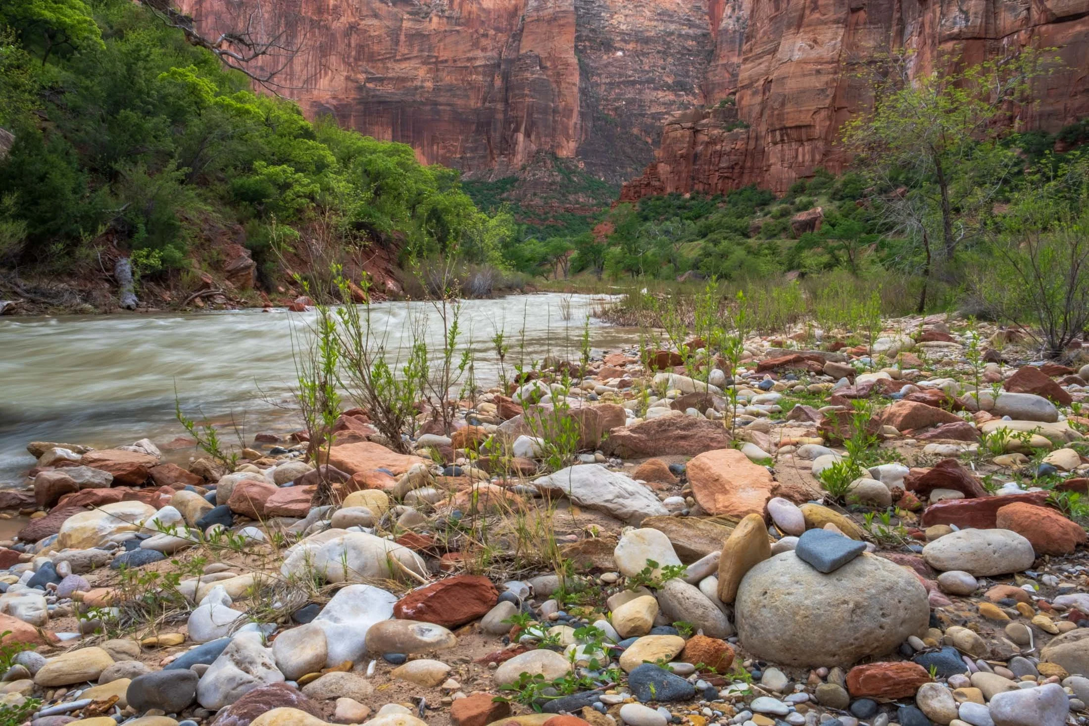 29. Rocks in Zion Canyon (Zion NP, Utah; May 3, 2019, 6:38 pm)