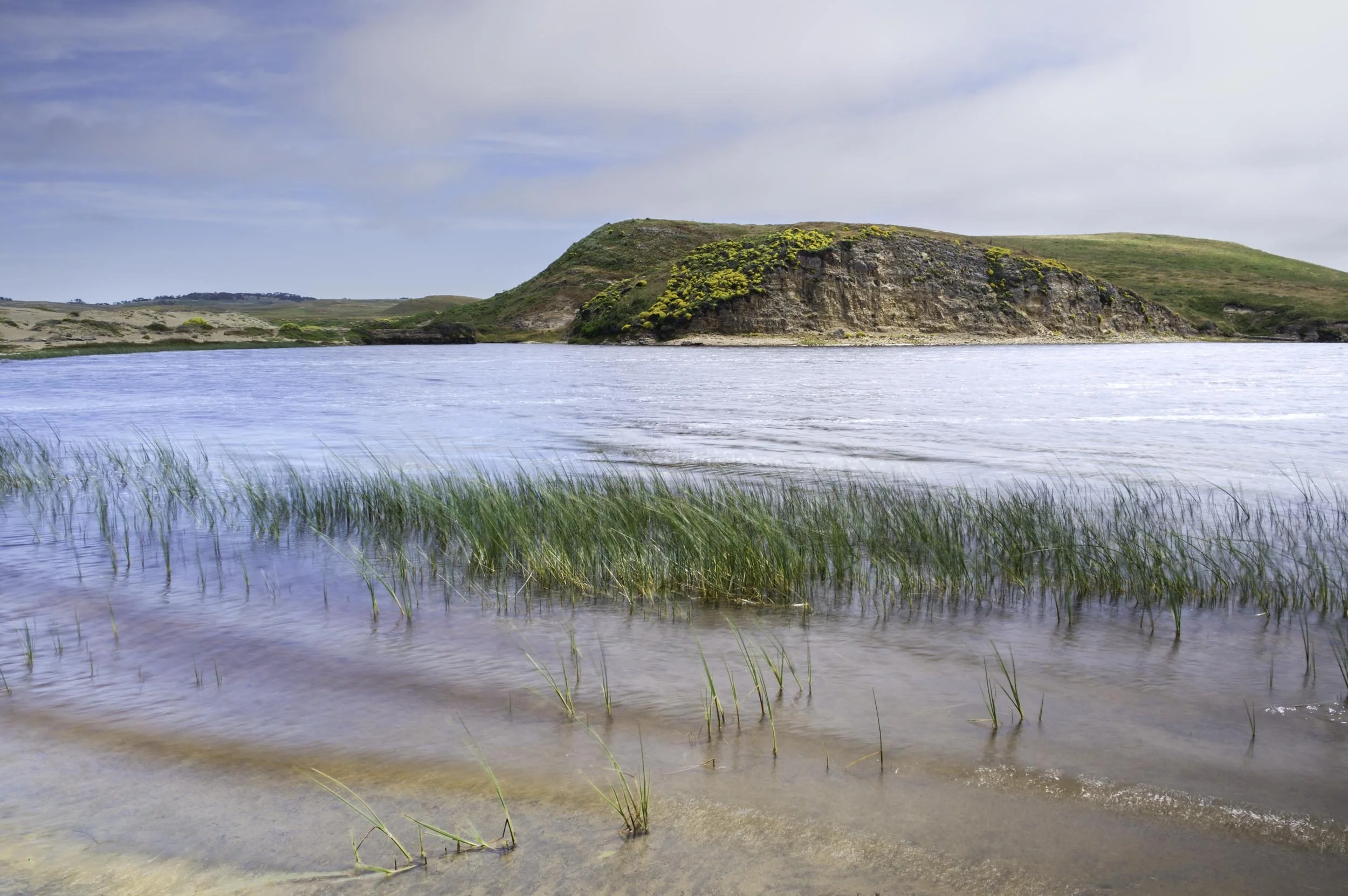 11. Abbotts Lagoon with early summer grasses and rockface (12:30 pm, June 14, 2023, Pt. Reyes Nat. Seashore, Marin County, CA)