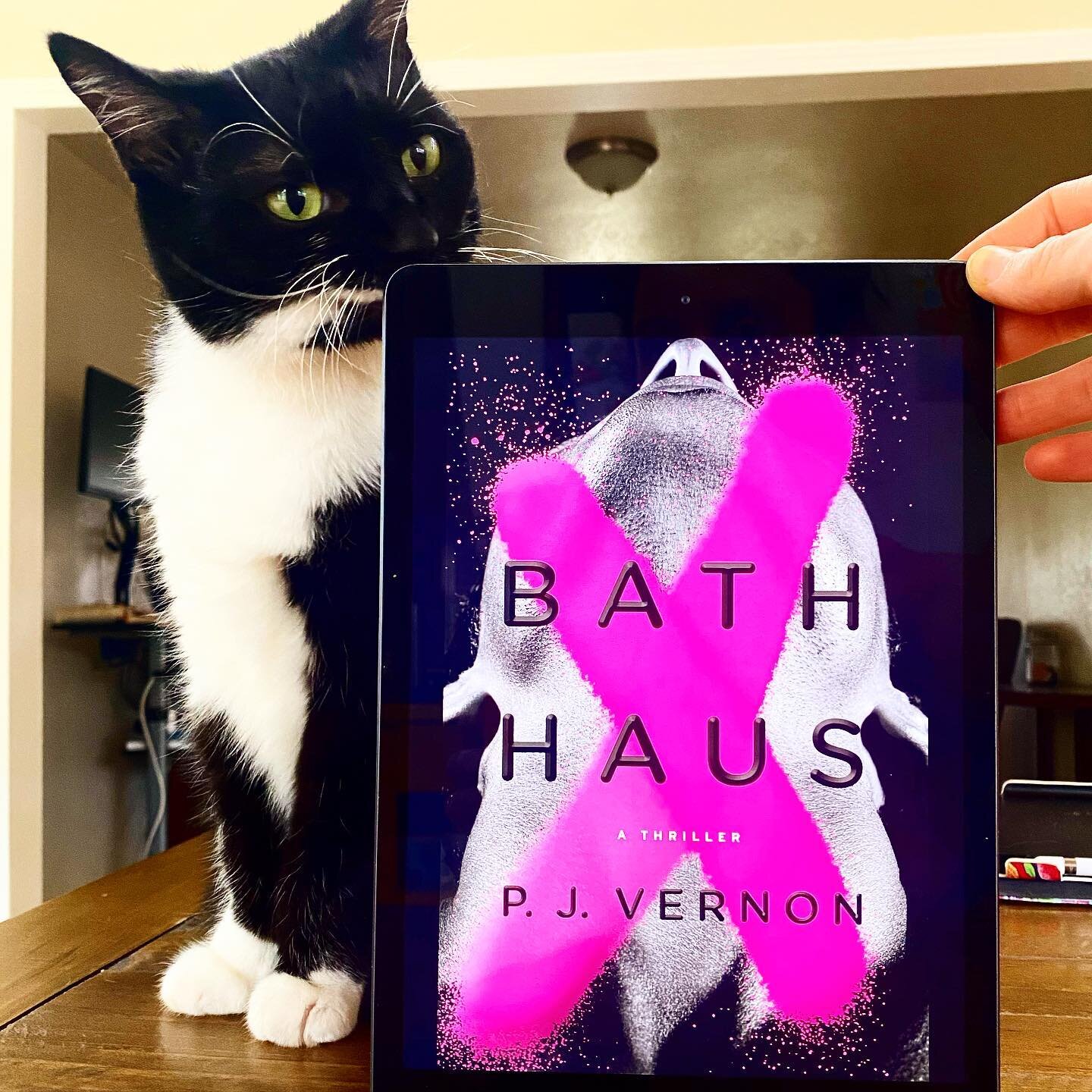 So, BATHHAUS by @pjvernonbooks is DEFINITELY making my Top 5 list this year 😱 an up all night read that left me contemplating how to write so damn well. First heard about it on @vanessalillie &lsquo;s IG live event, and heard another excellent inter