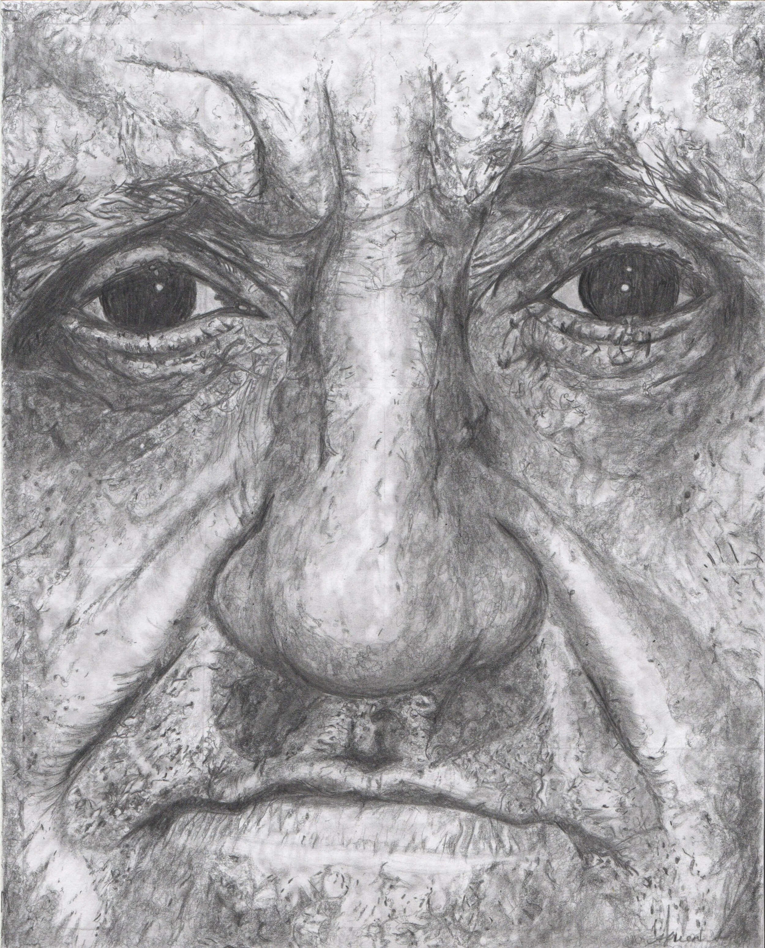 "Face Project" - Afreen Shameem // Foothill High School