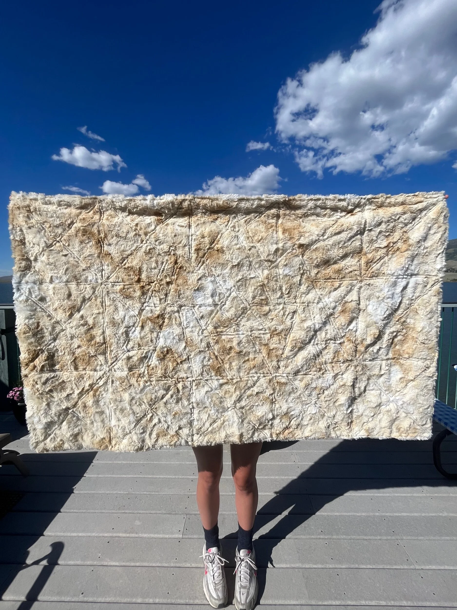 7CD4783F-069E-4991-976A-A5A86946F1C2