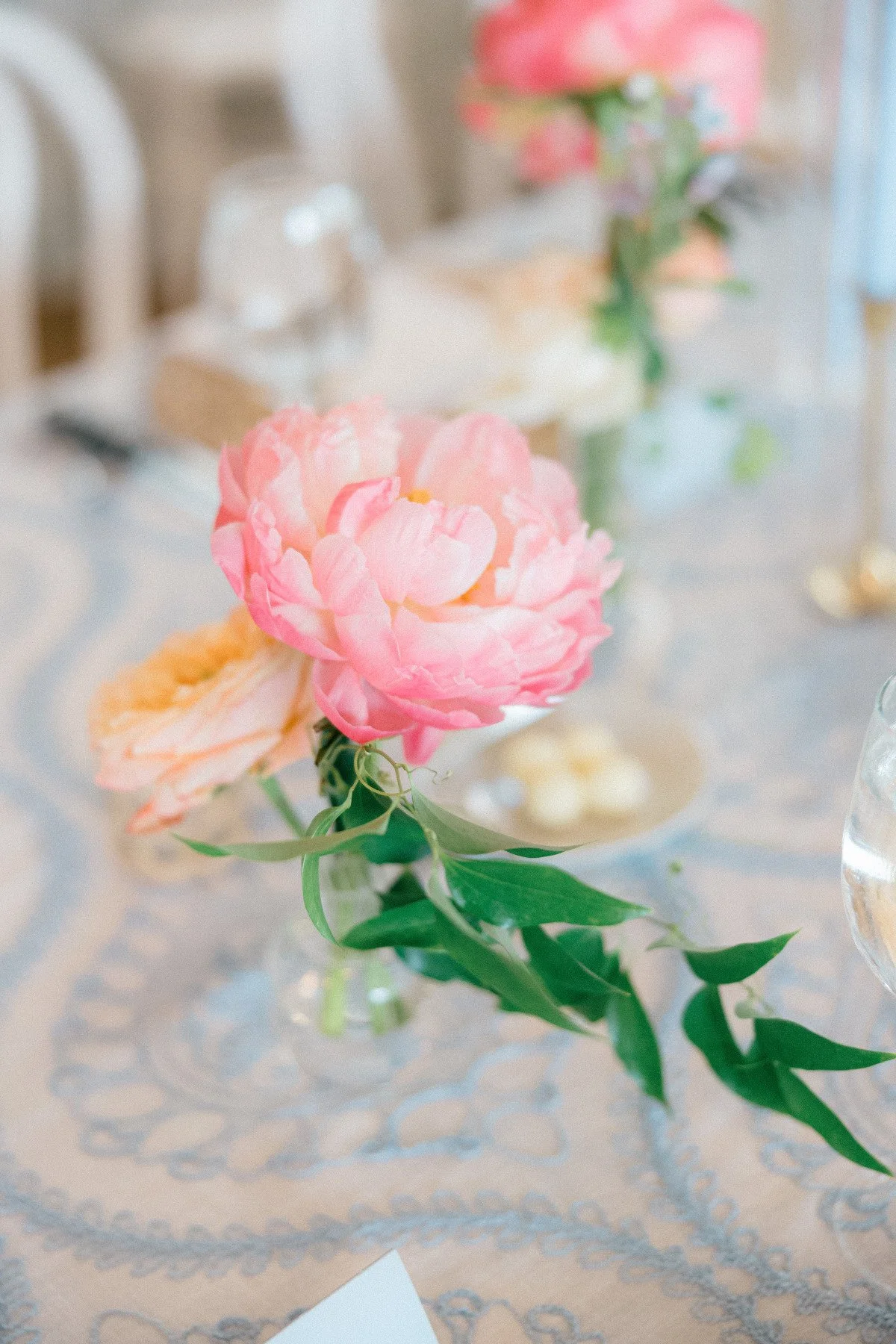 Casingal_SneakPeeks-resized-7.jpg