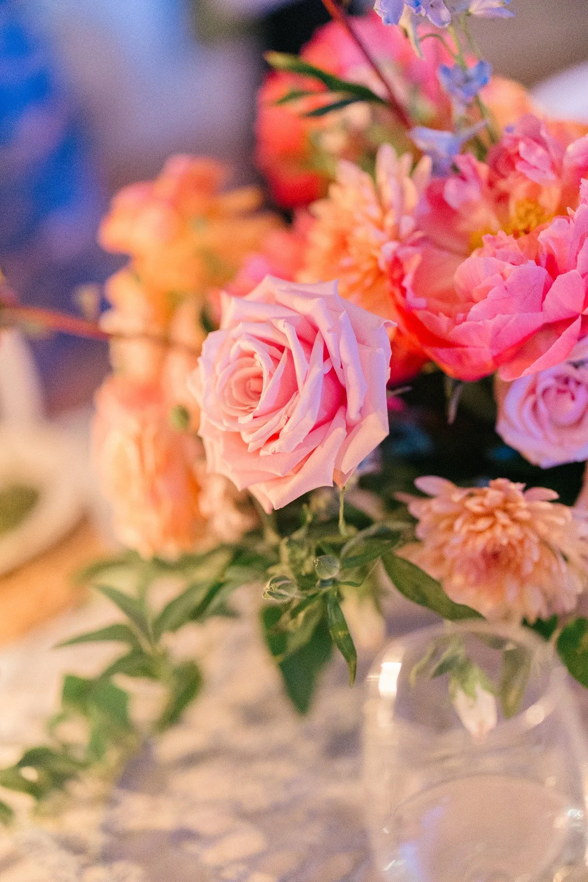 Casingal_SneakPeeks-resized-22.jpg