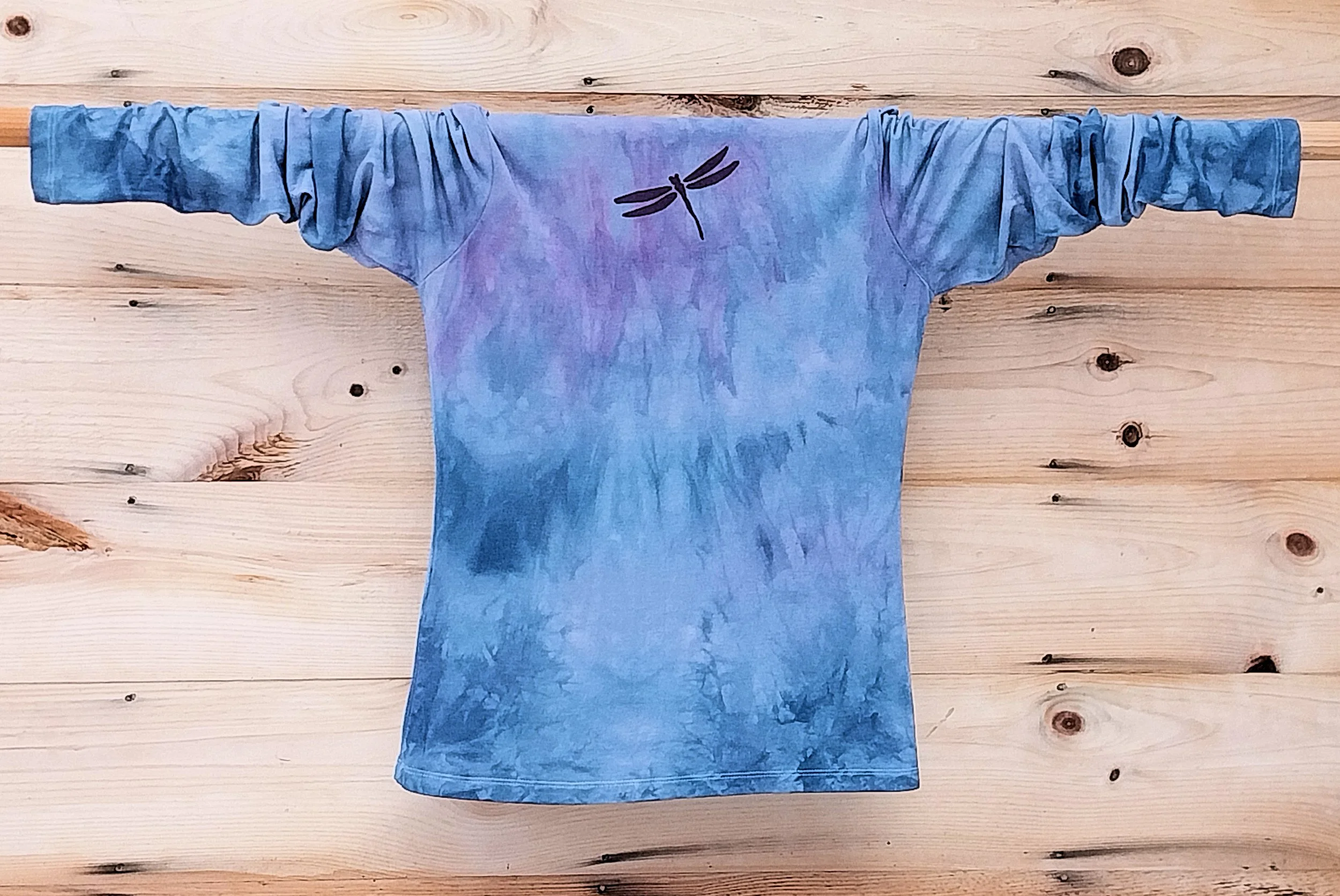 dragonfly bam 2026 back.jpg