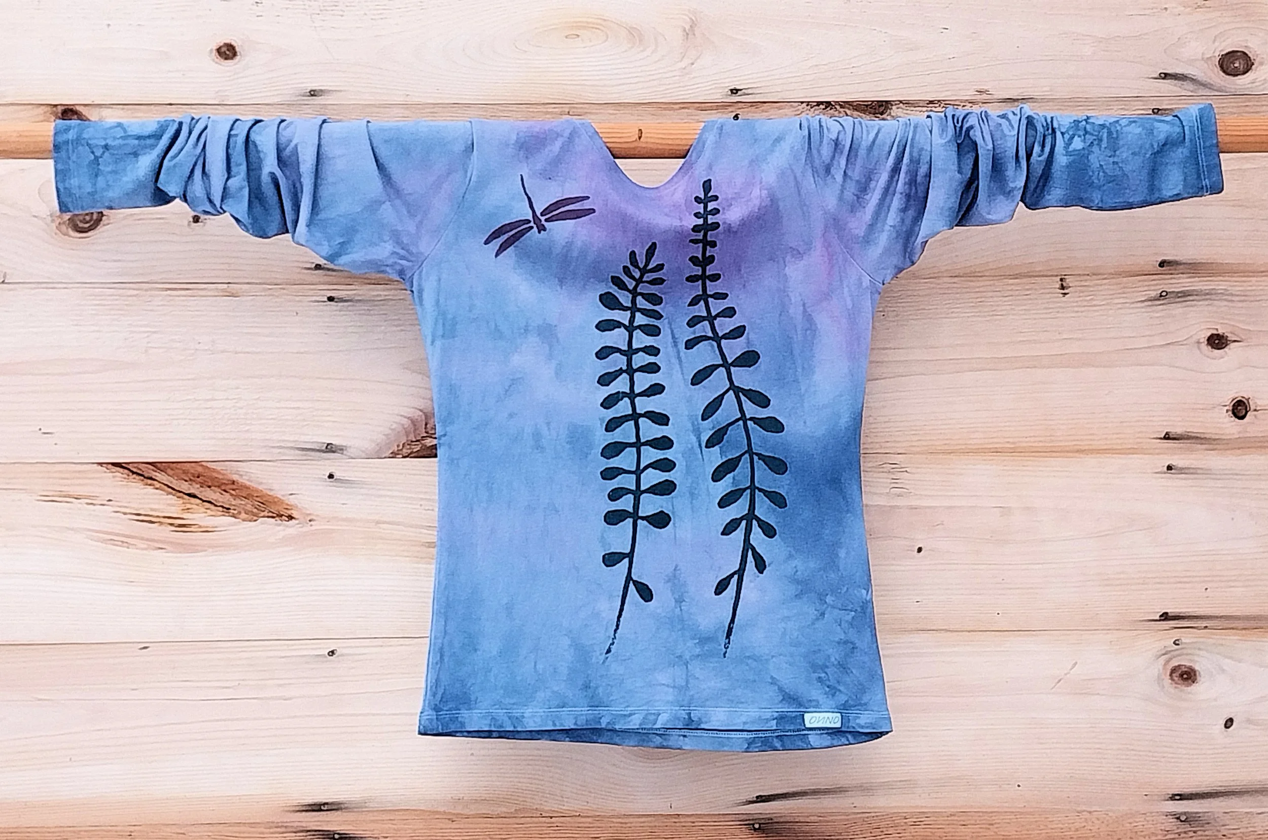 bam dragonfly from 2026.jpg