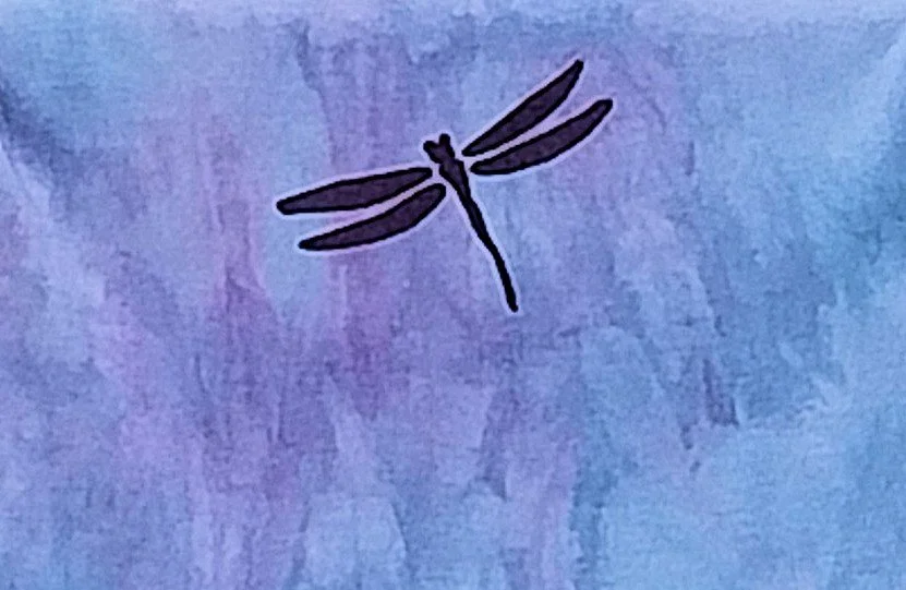 dragonfly bam 2026 back detail.jpg