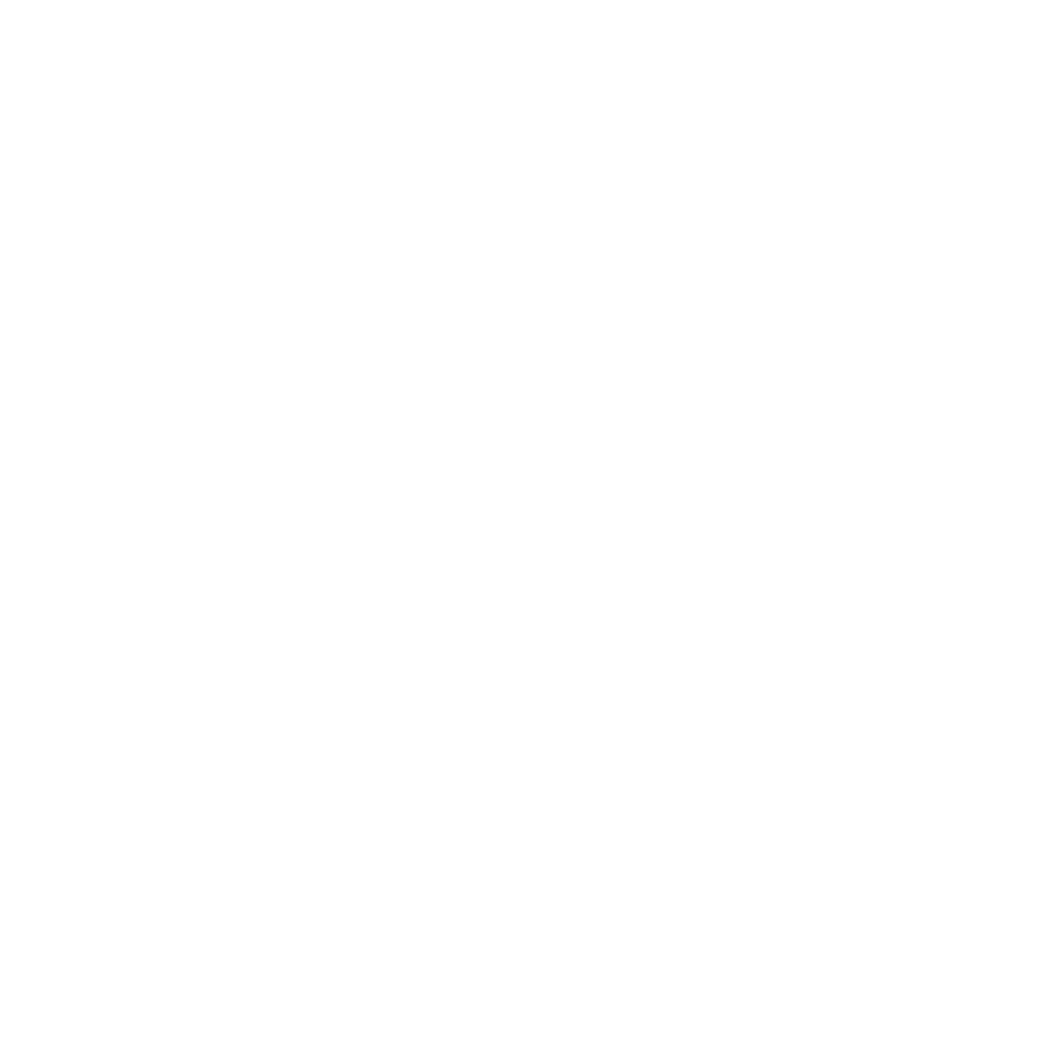 LOGO Neron Servicios Inmobiliarios.png