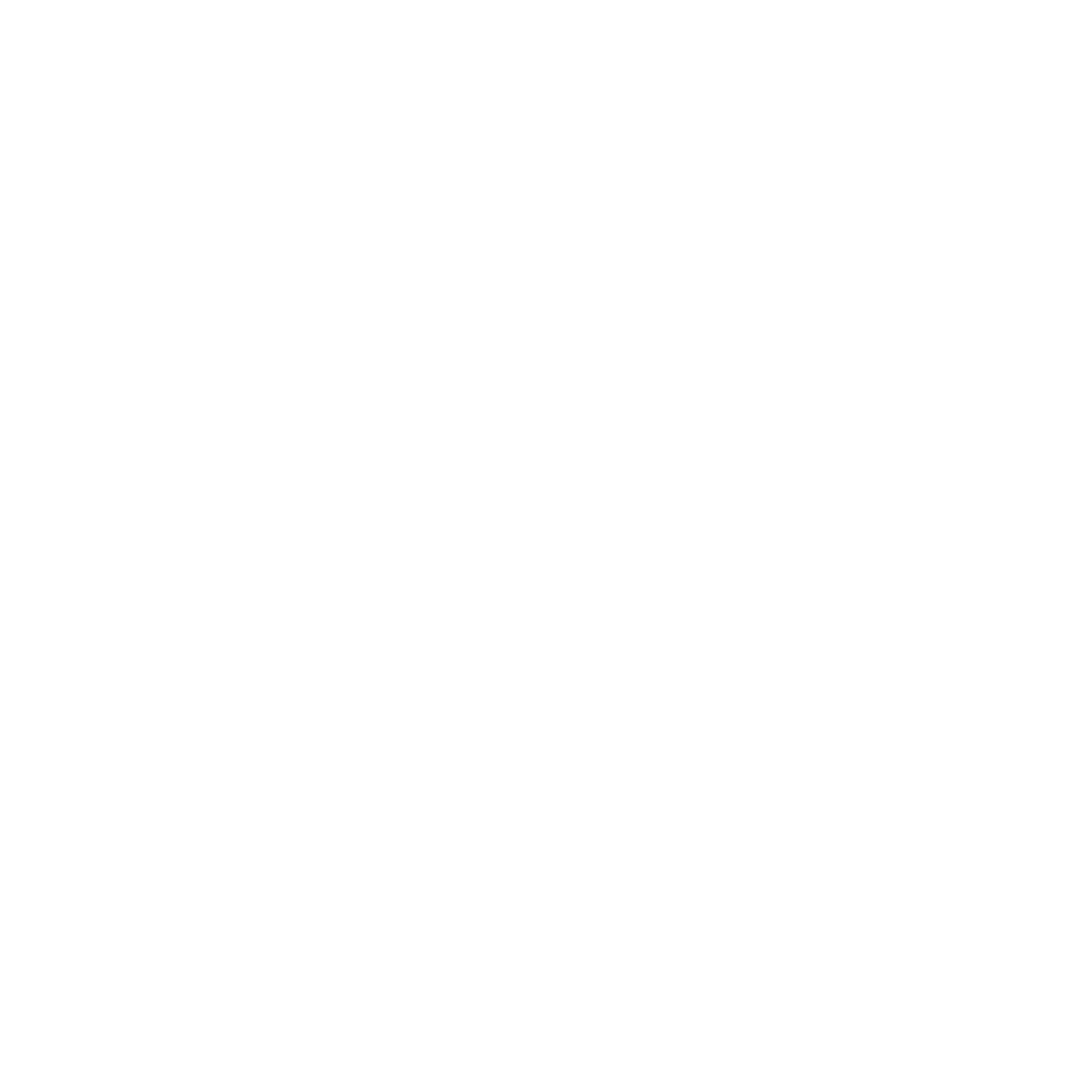 LOGO Prismax Rosario.png