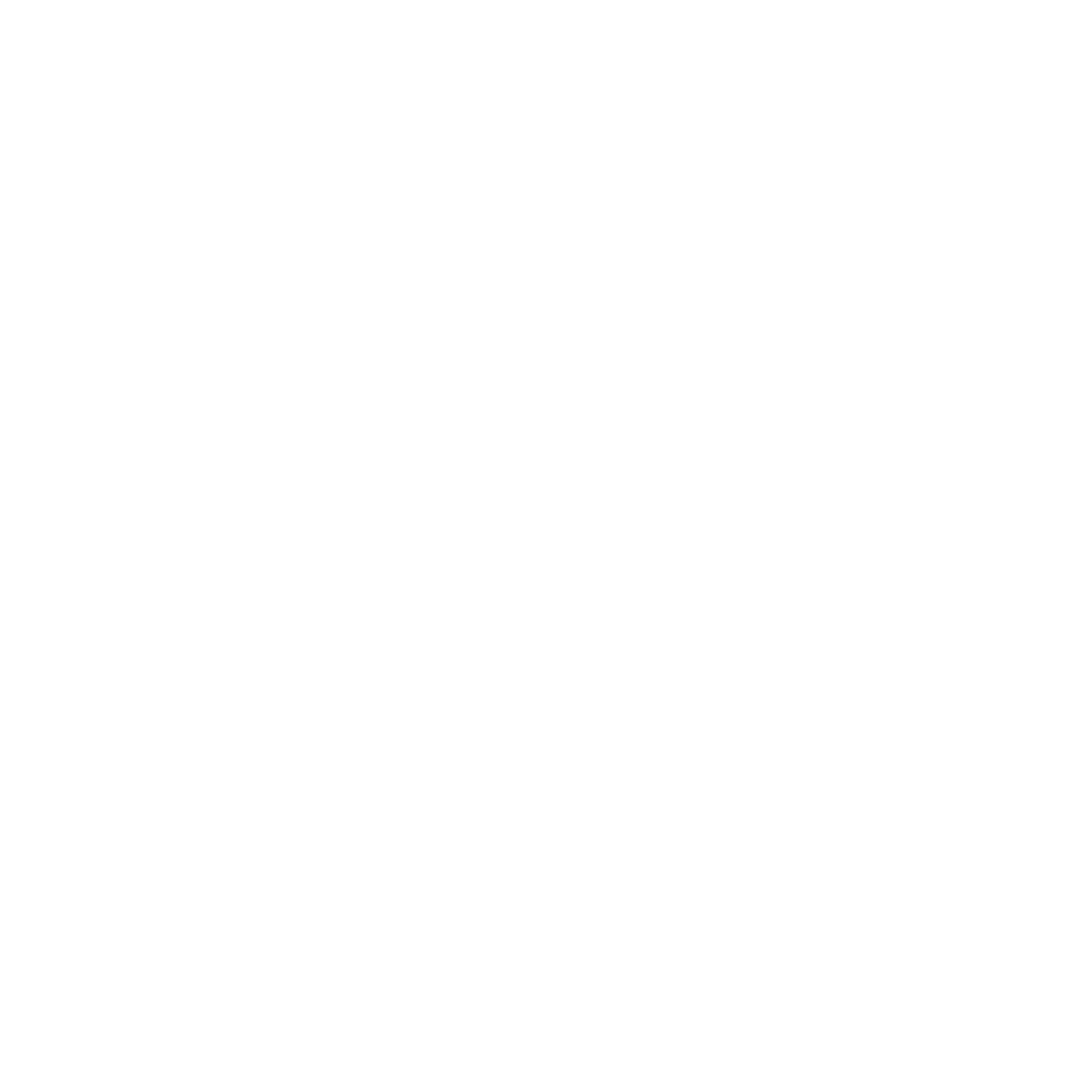 LOGO Natalio Automotores.png
