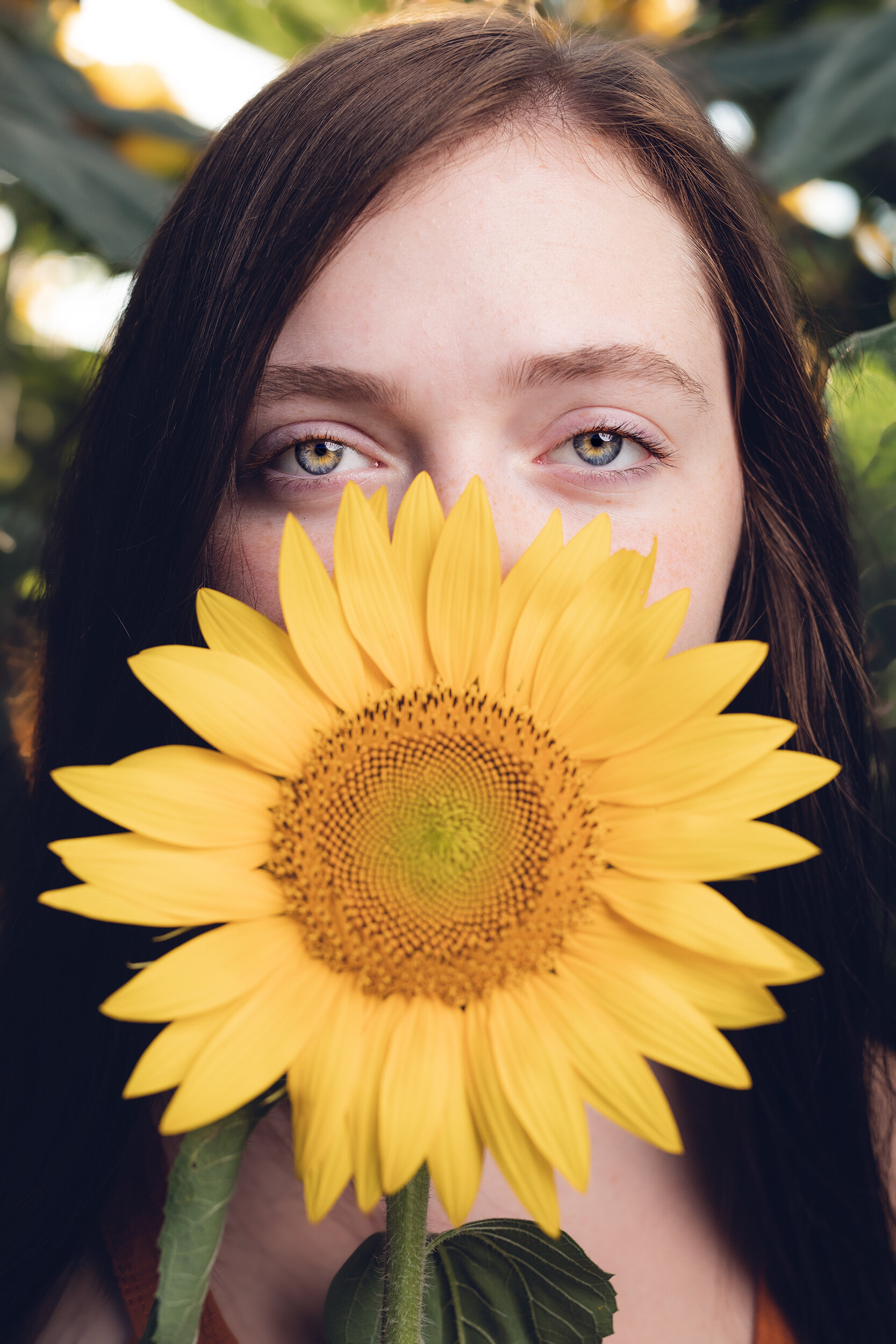 cassandra-sunflowers-10.jpg