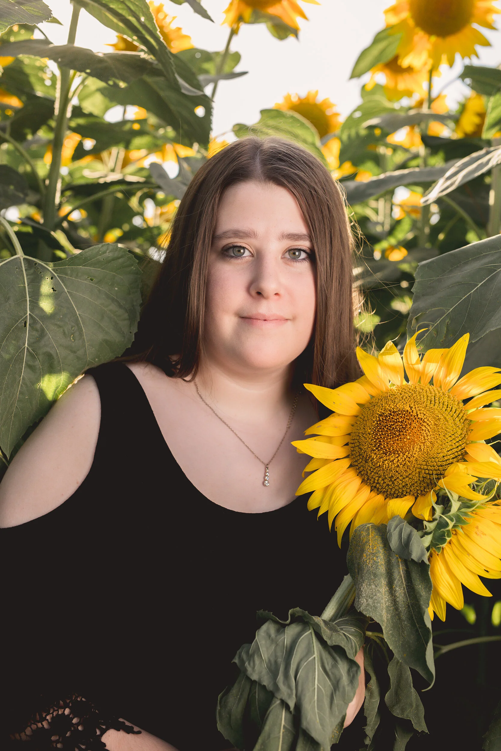 tosha-sunflowers-3.jpg