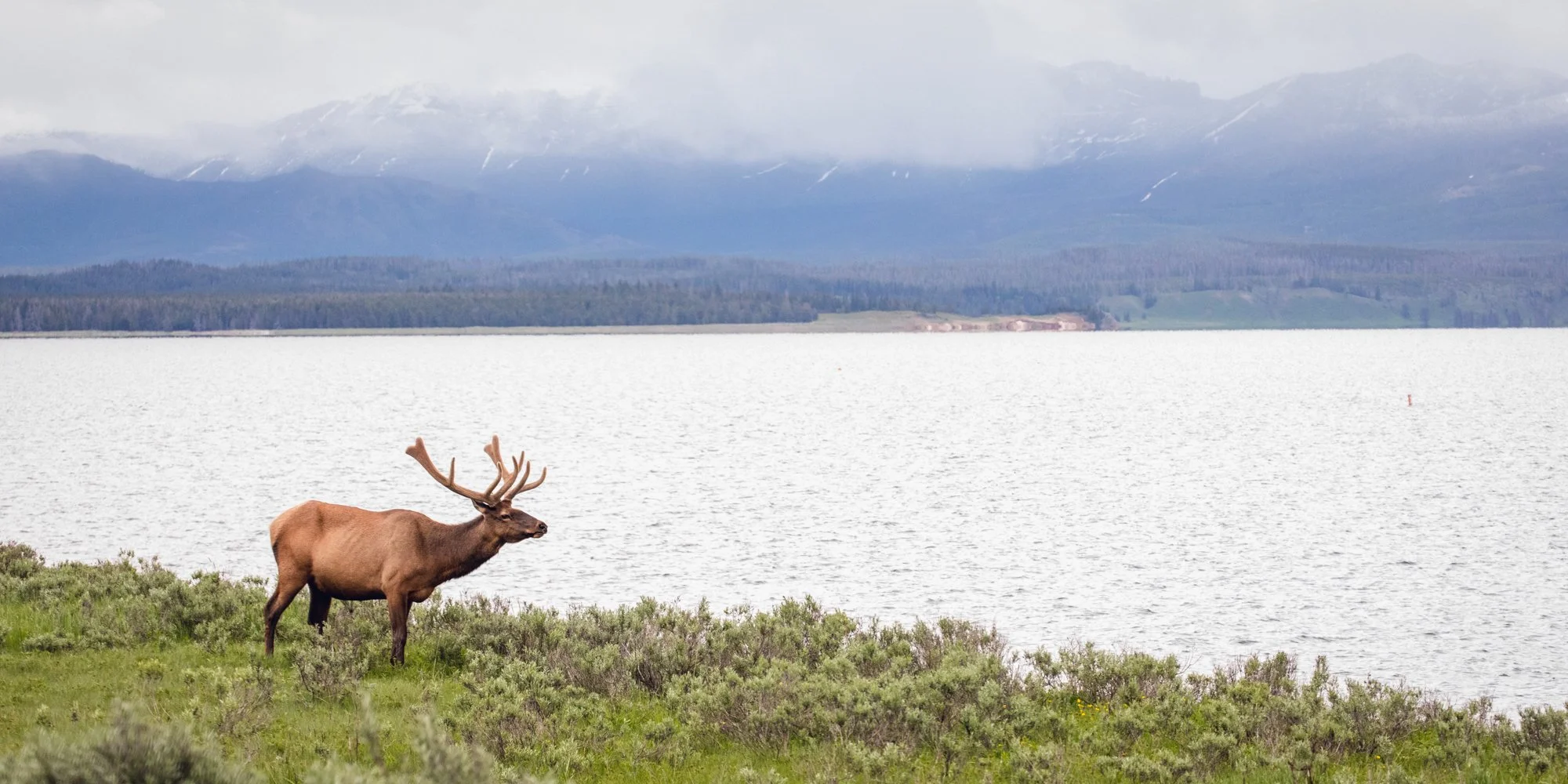 Yellowstone-photos (2).jpg