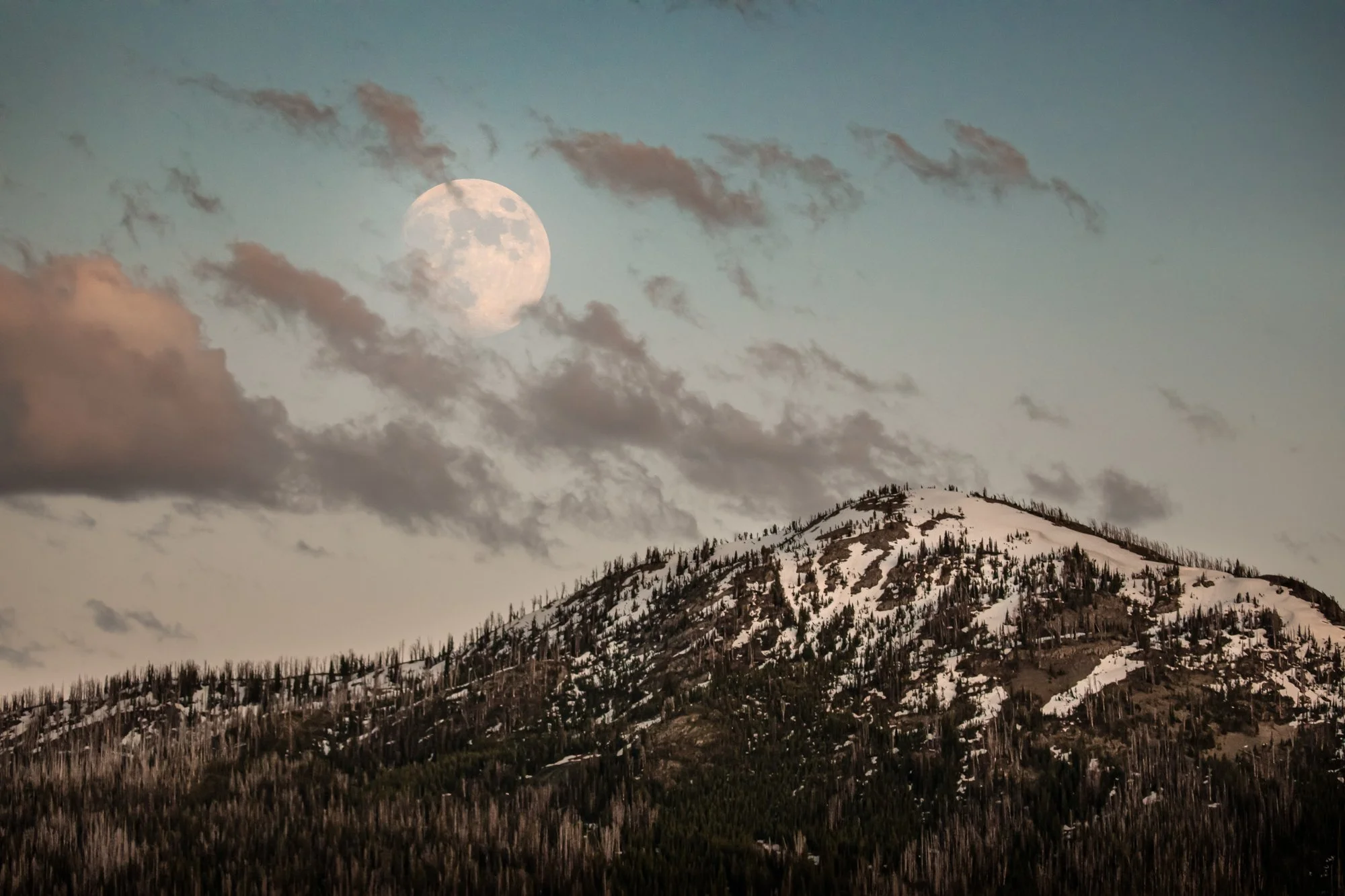 Yellowstone-national-park-photography (33).jpg