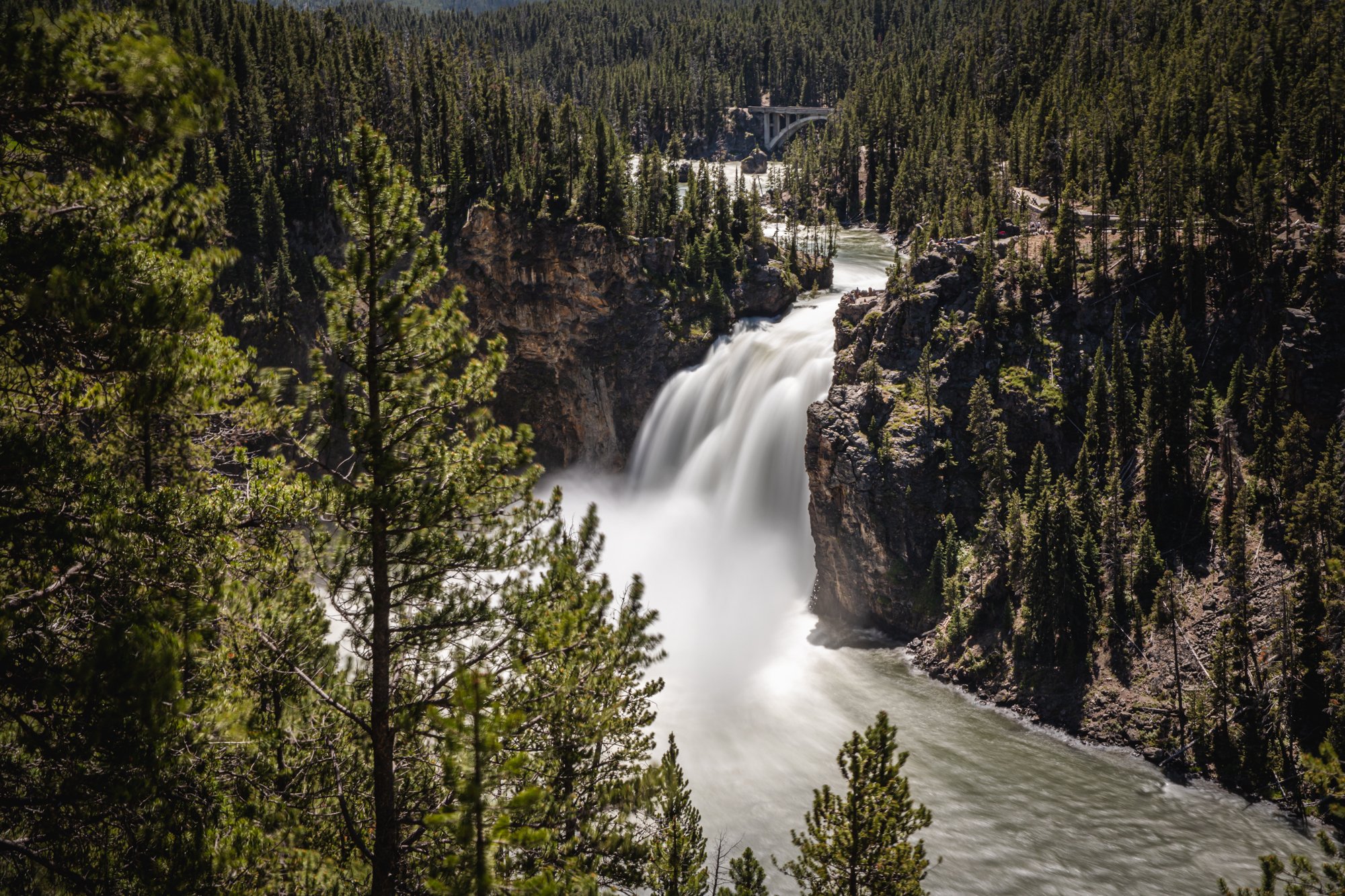 Yellowstone-national-park-photography (23).jpg