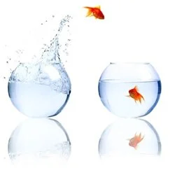  Catch the Right Job!