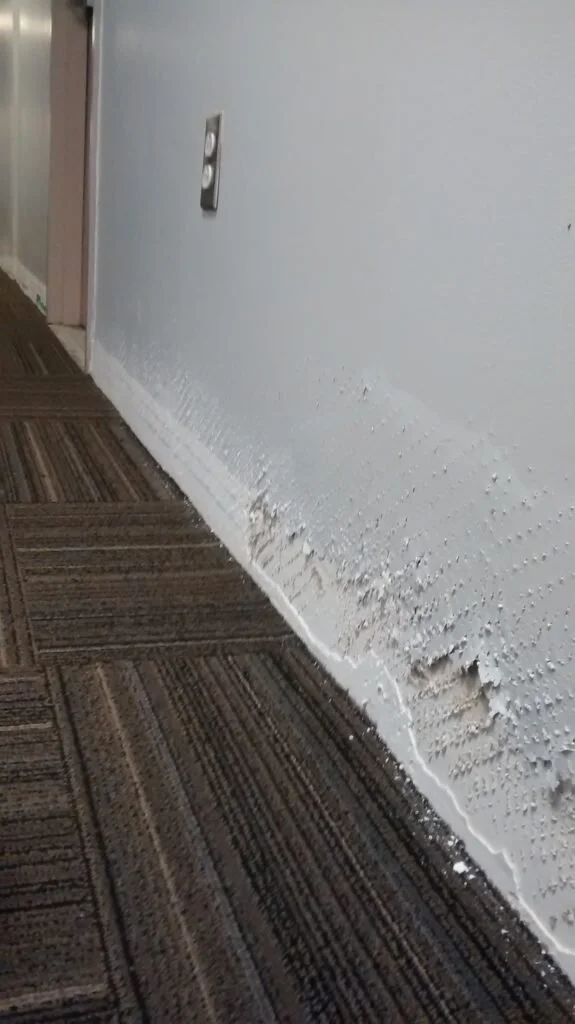 Concerns Arise for Residents after a Flood at The Towers
