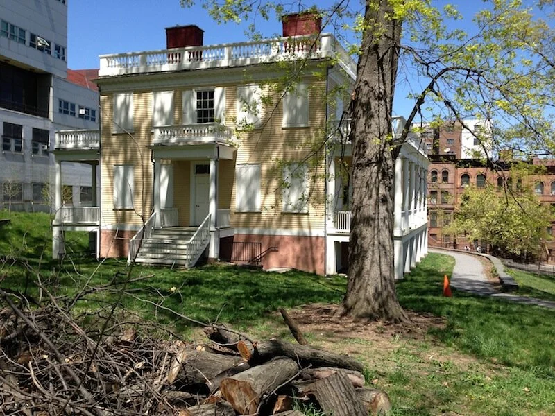 The Little House on Campus