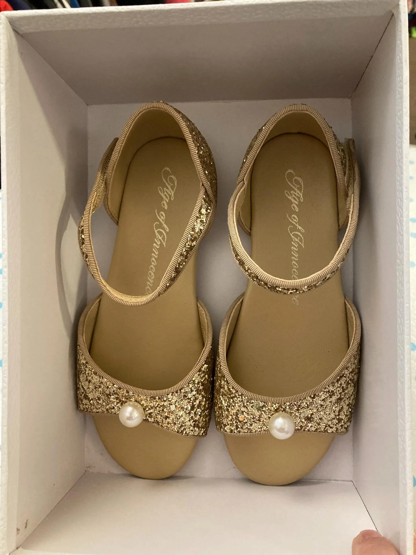 #ageofinnocence girls Mila Glitter shoe in size 1.5/33.  Perfect, new in box. $44.99