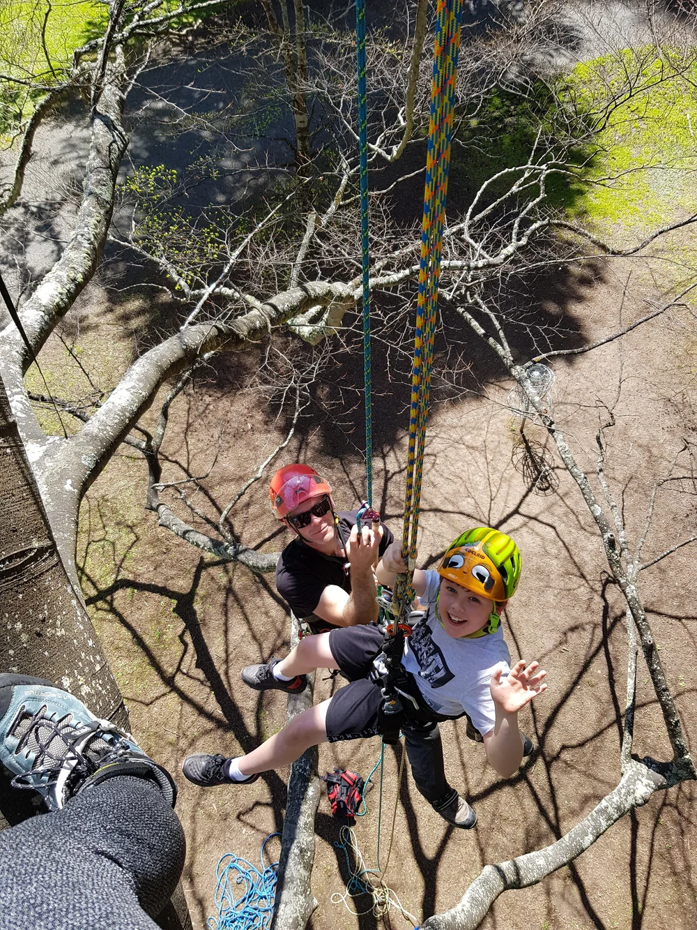 Services — Branch Dwellers Recreational Tree Climbing