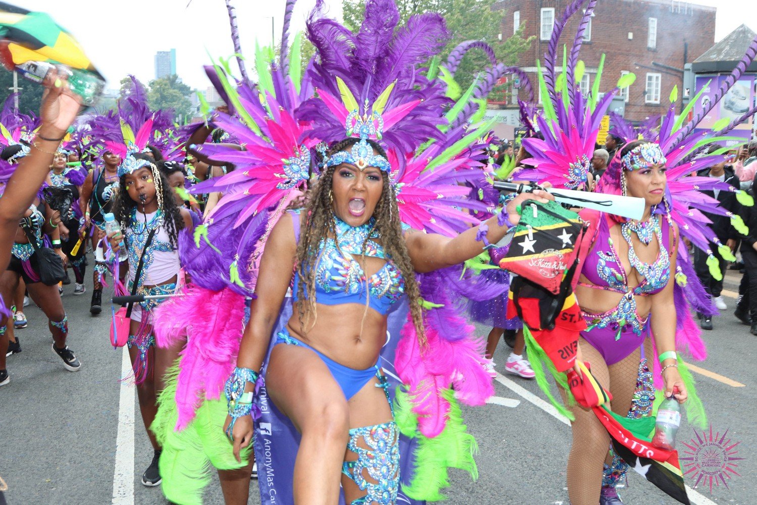 THE COMPLEX COST OF Carnival