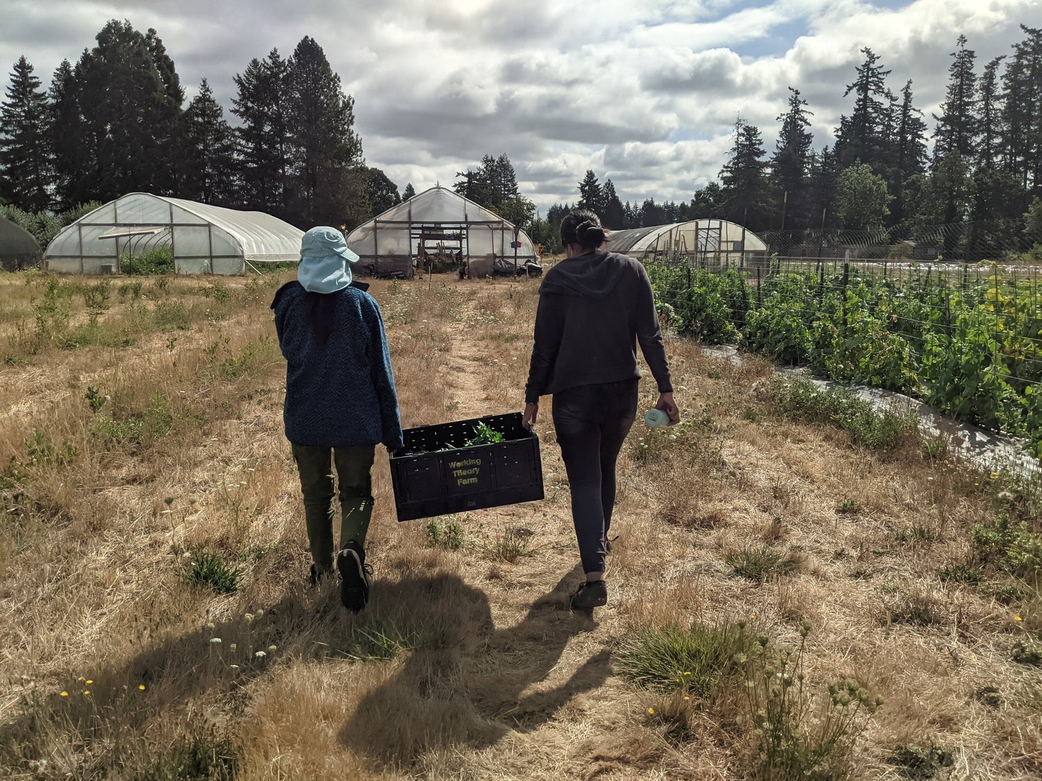 Working Theory Farm Working theory farm