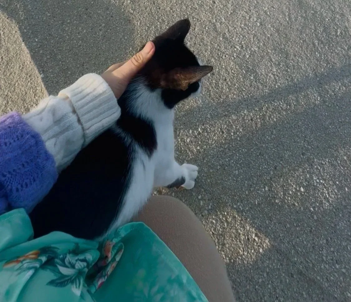 Reflection: My angel on the hike