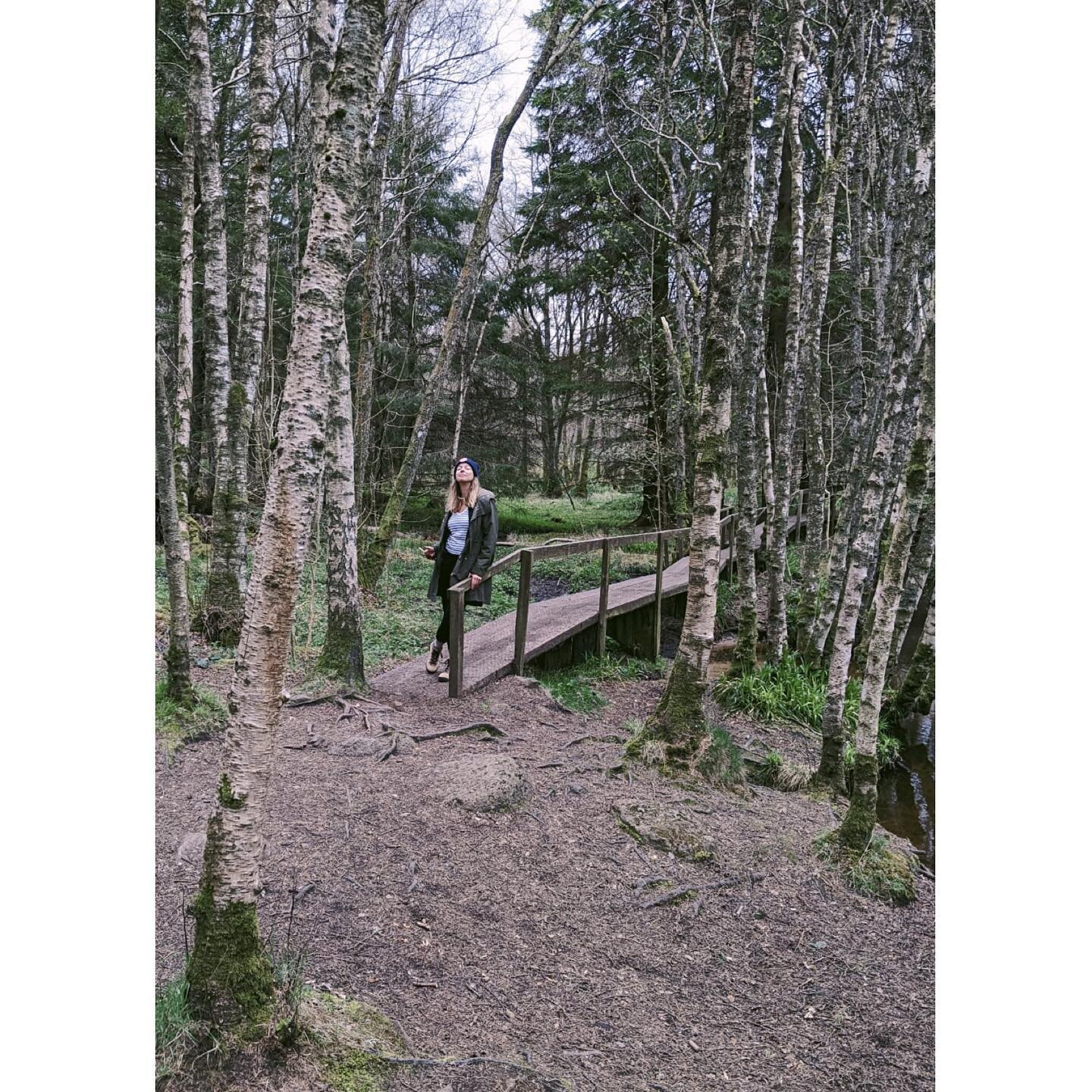 why don&rsquo;t you make like a tree&hellip; and get outta here (for the weekend)🌲🌲 this moment of zen brought to you by the scottish woods:) pc: @delanemorrisonwallace 
.
.
.
.
.
.
#getoutside #nature #momentofzen #naturewalk #birchtree #scotland 