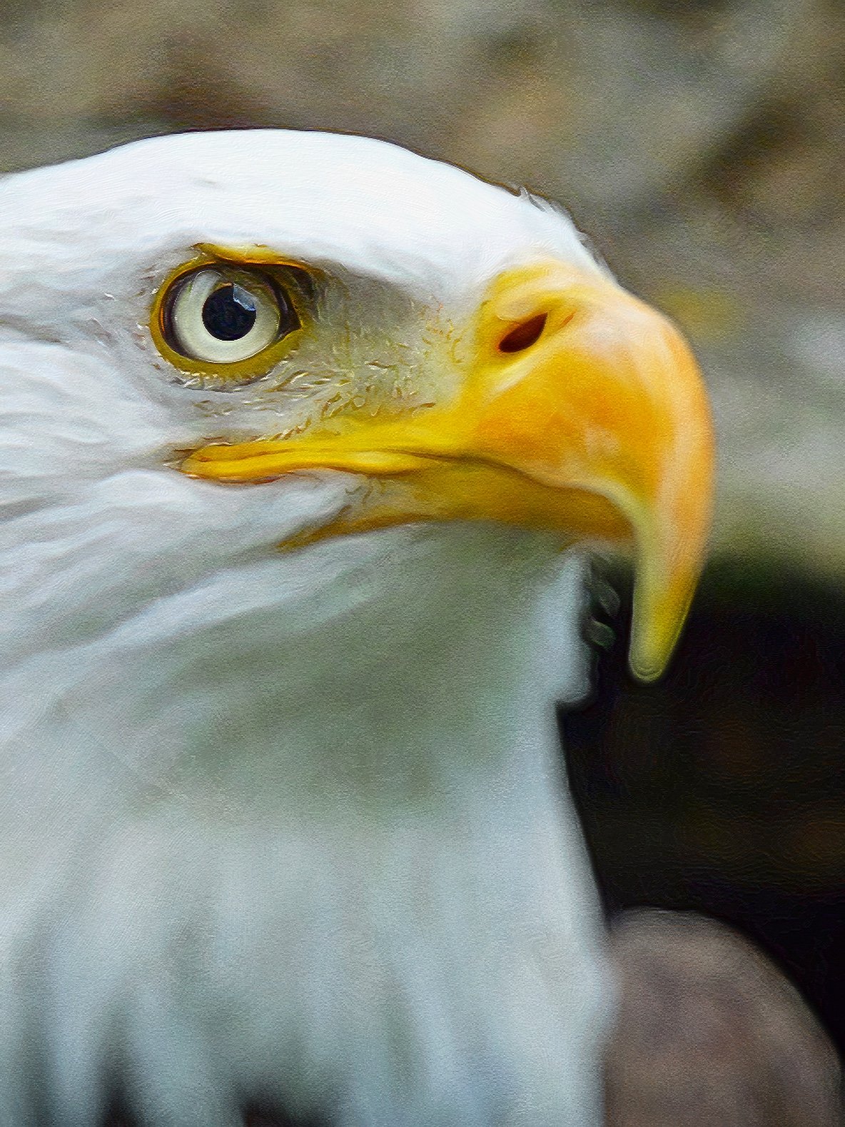 7B0C0FDD-C7EB-4993-BD02-98436D07C314-17903-00000C056BDB2B55.jpeg