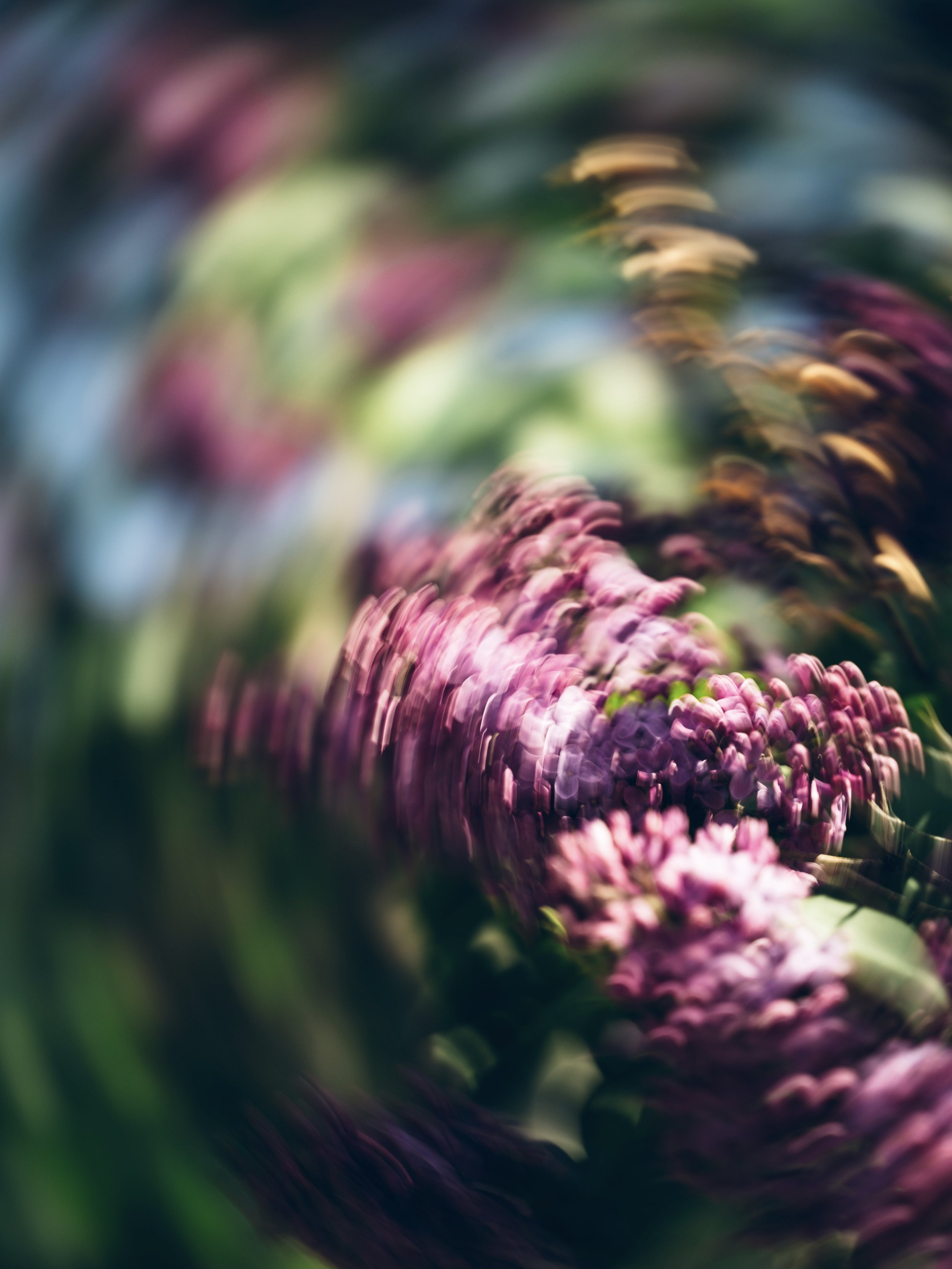 D9EF5F88-CE0B-46C5-A9C8-FA861D1FB442.jpeg