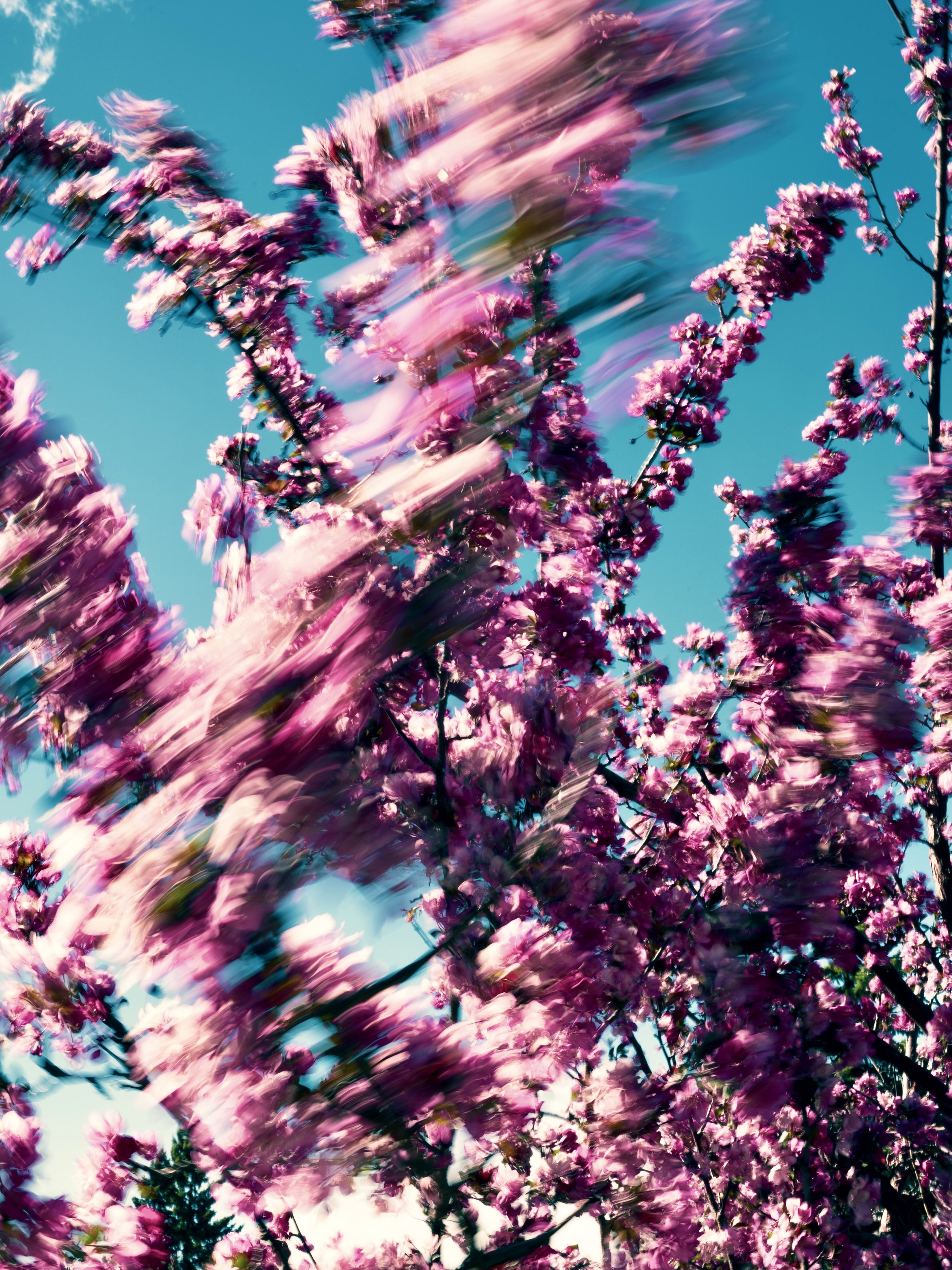 82F44F85-6507-4FF2-B6B0-C7C146985B19.jpeg
