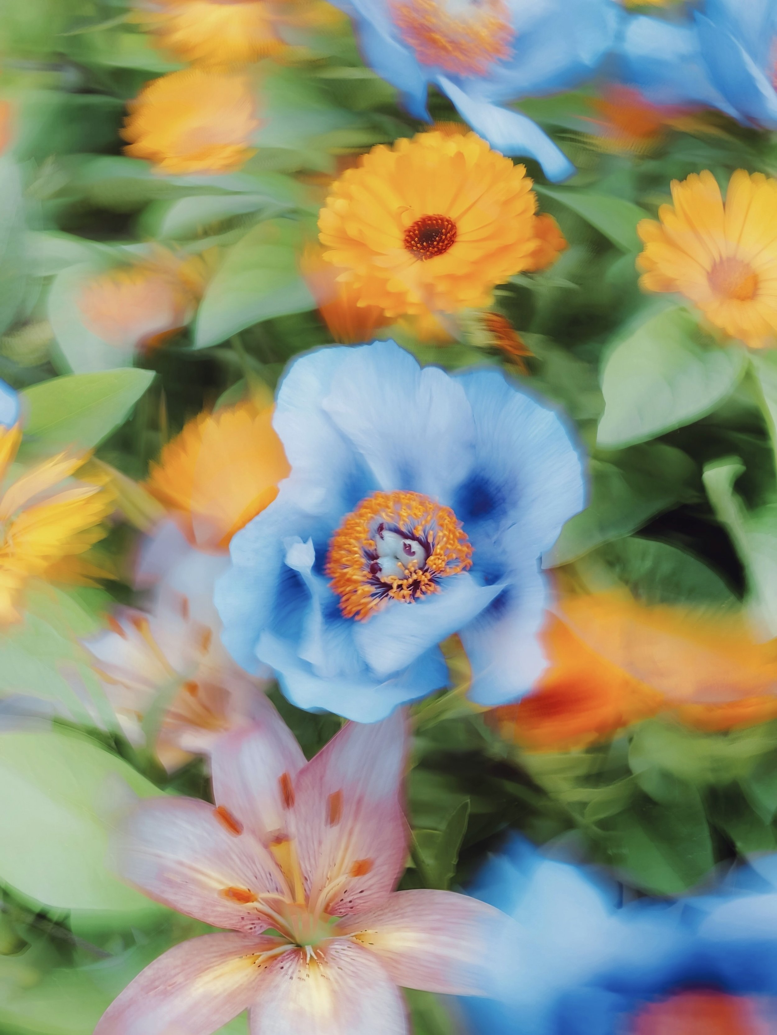 6171370C-B979-48CD-A828-EA8469CA5084_1_201_a.jpeg