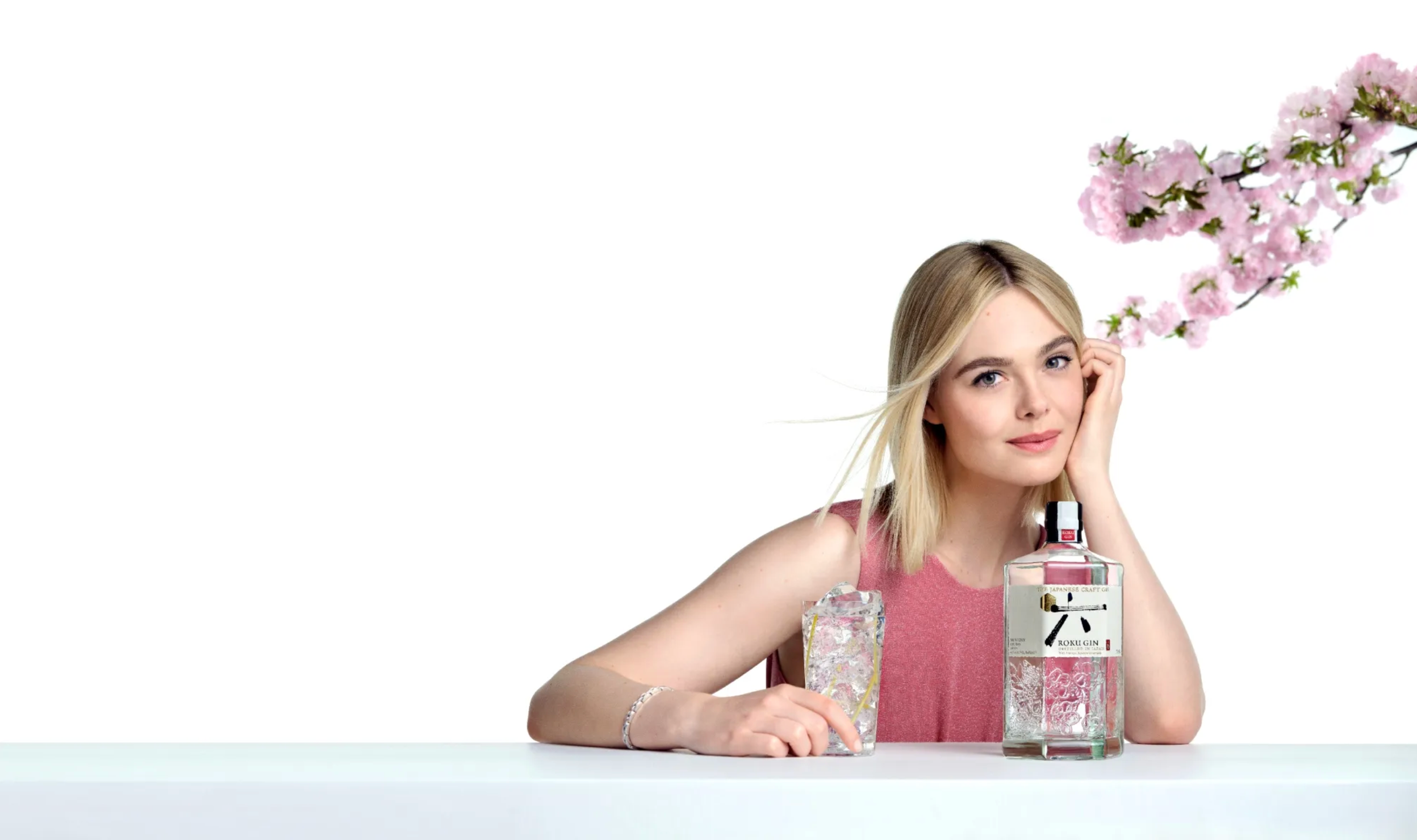  Suntory Roku ”Come Alive" // Elle Fanning  
AGENT ASSISTANT 
Dir: Sofia Coppola, Prod: The Directors Bureau