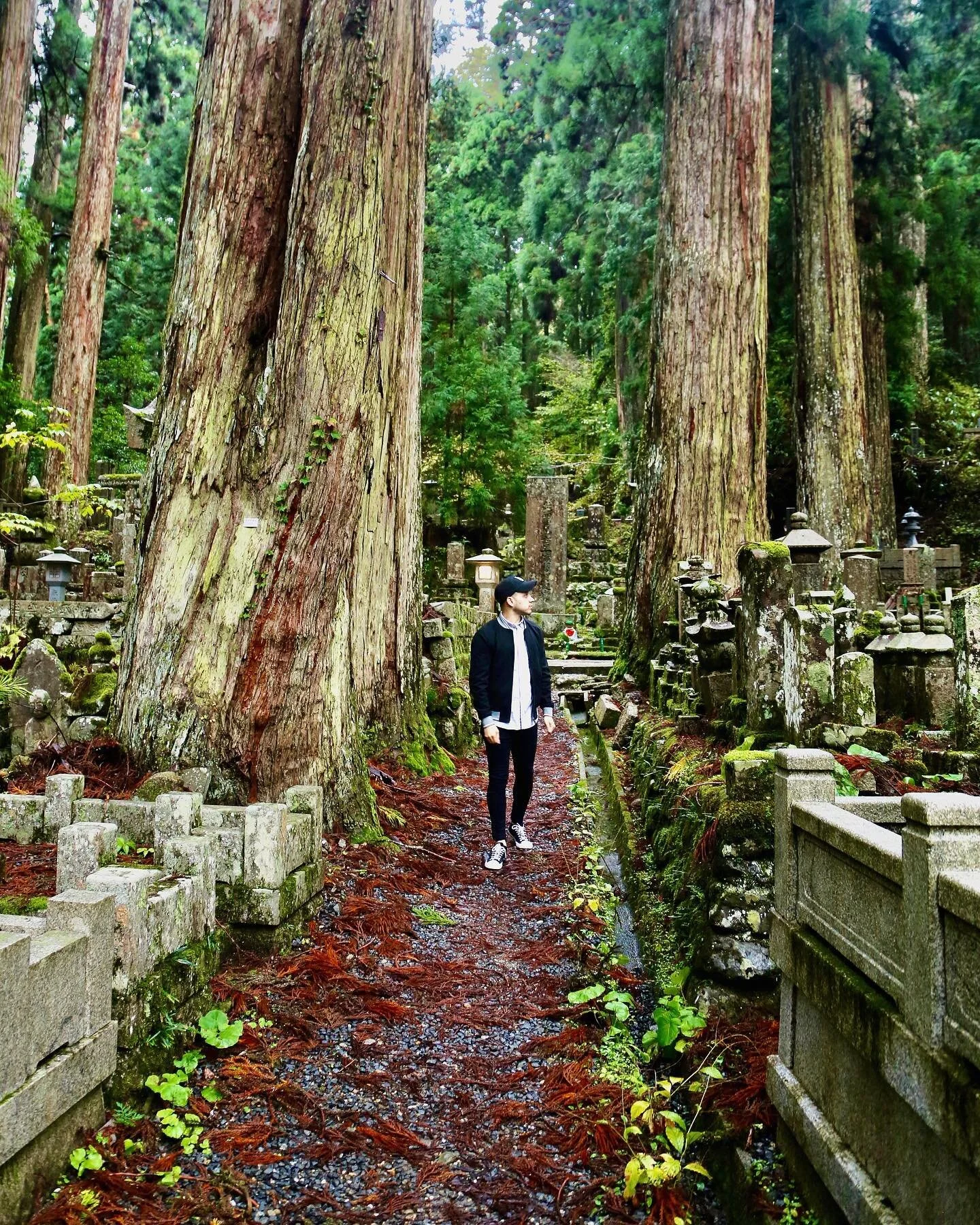 Okunoin Cemetery #japan #koya #mountkoya #cemetery #travel #asia
