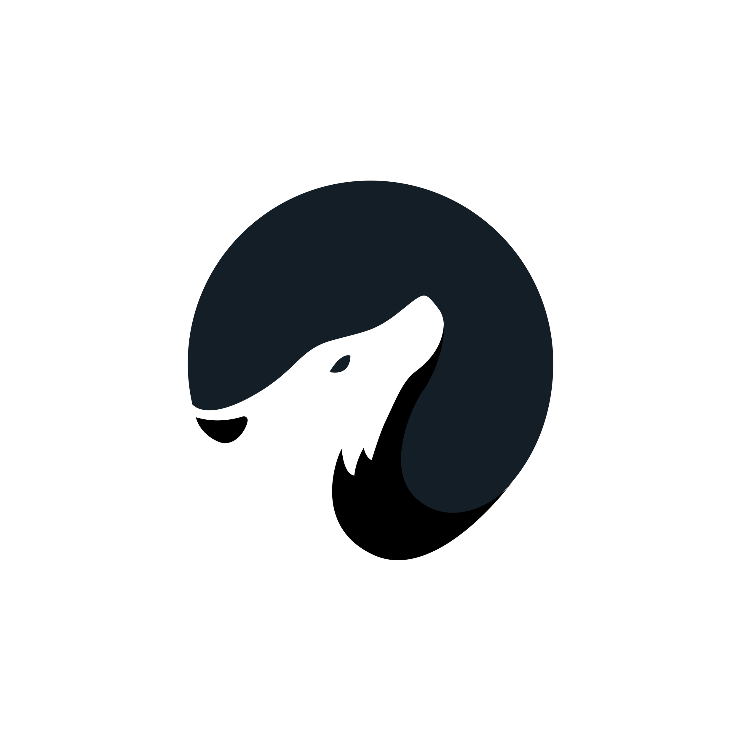 6.png