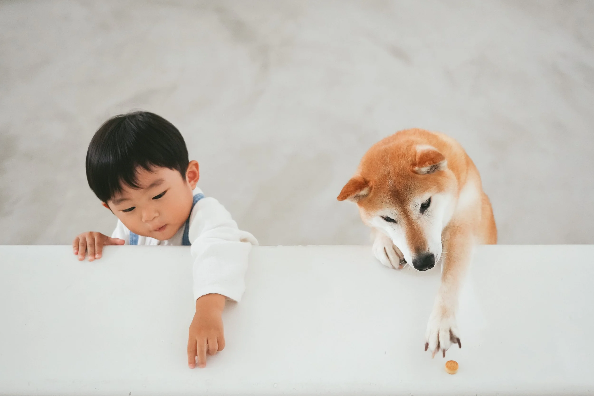 山口葵_document_3.jpg