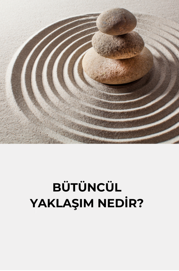 bütüncül yaklaşım.png