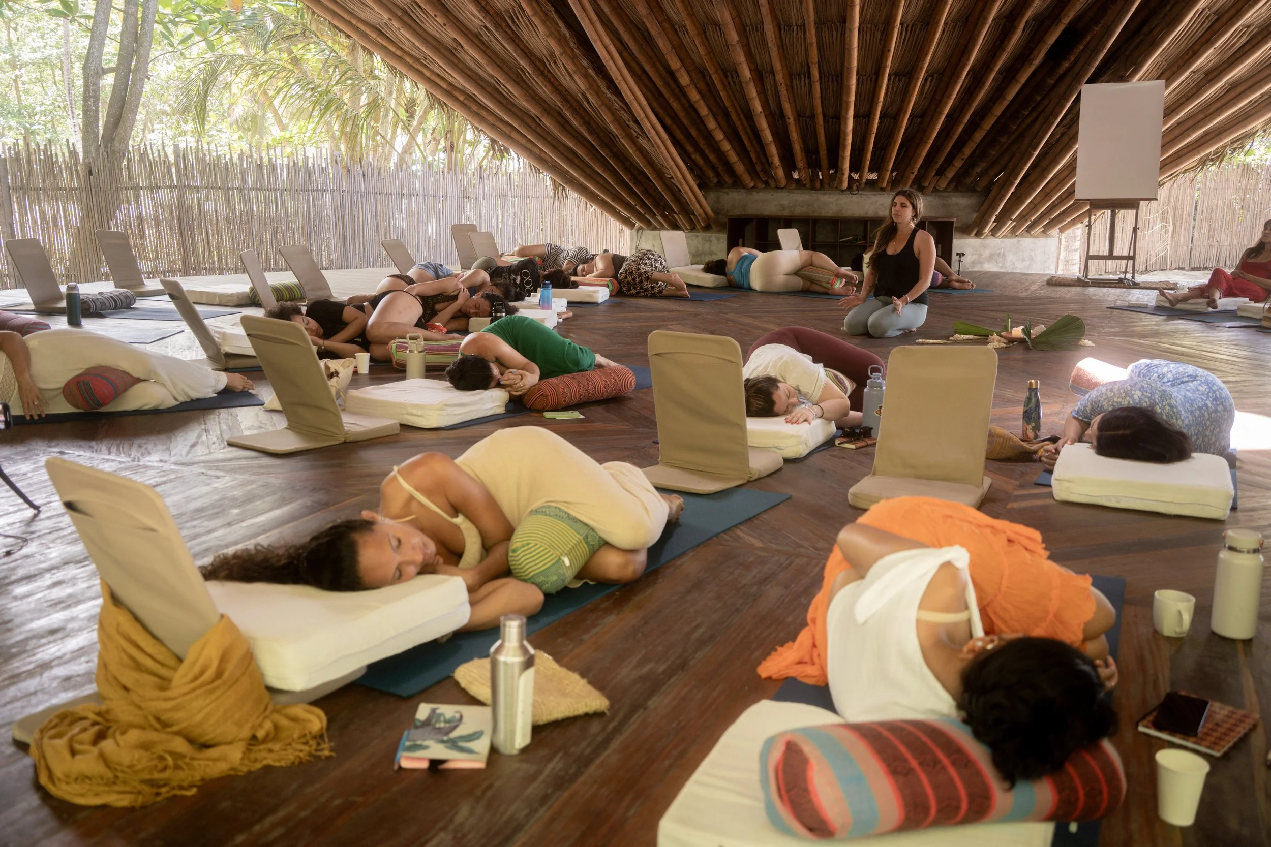 NGO02119.jpg