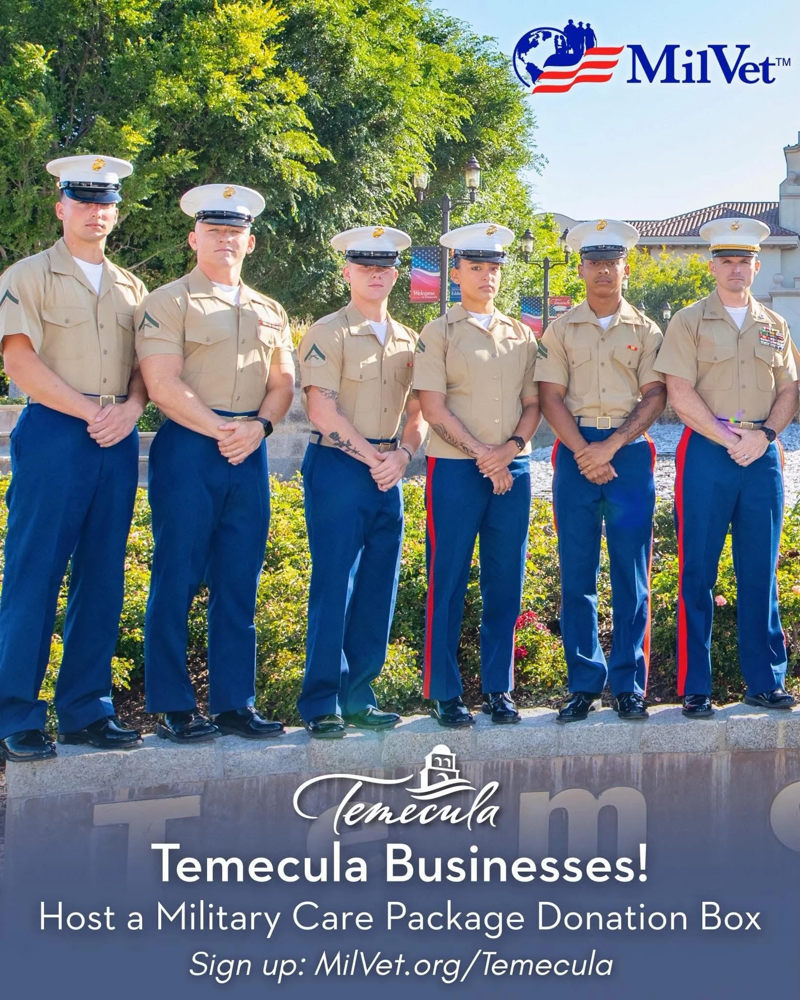 Temecula Business flyer.jpg
