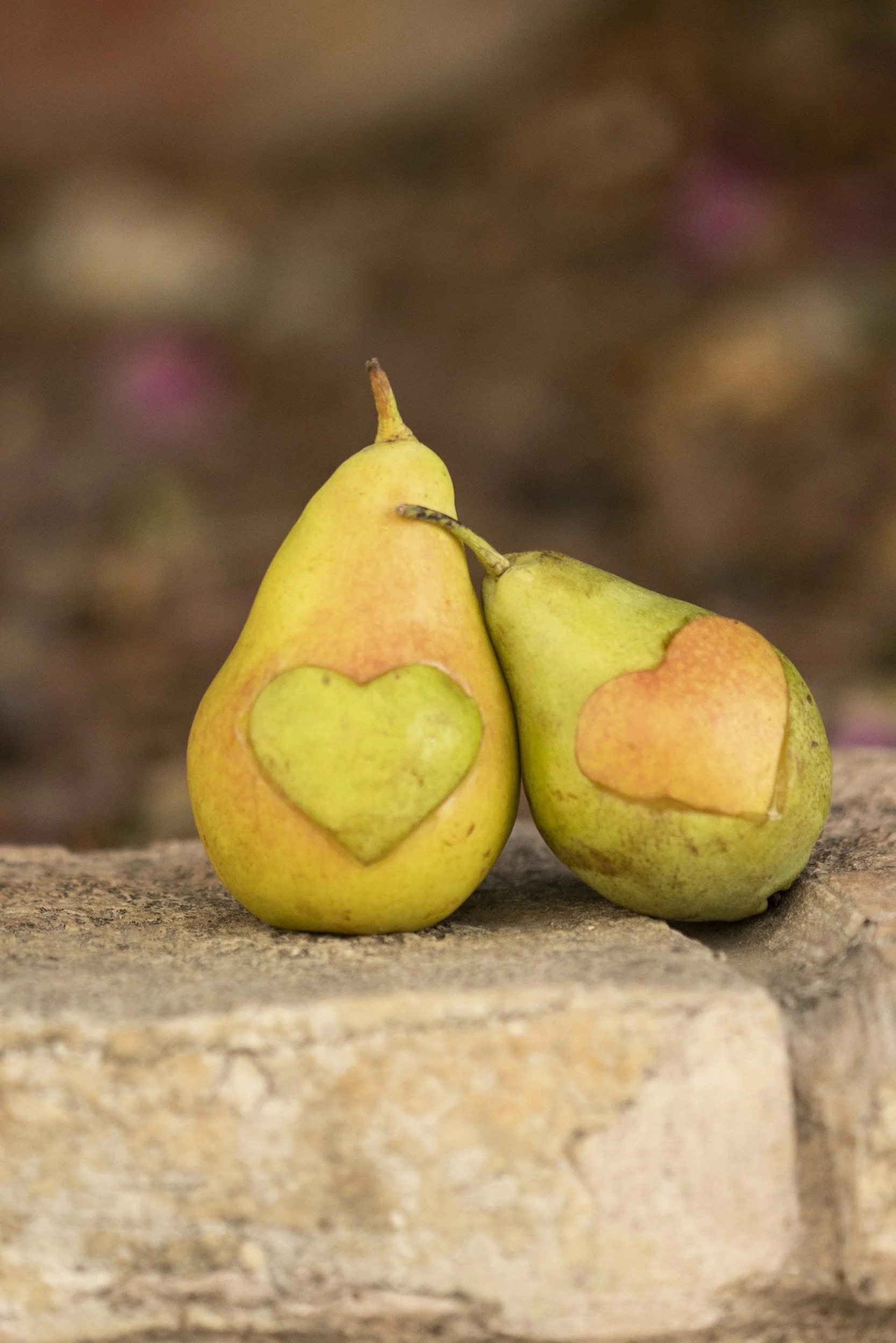Fruit of the Spirit: LOVE