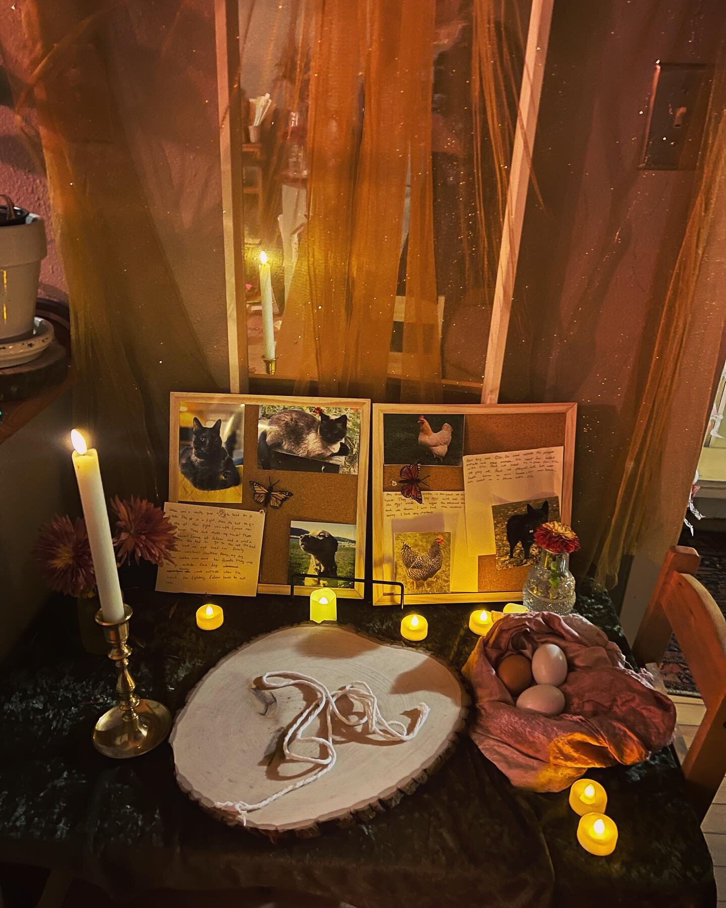 Emerson shared with us his family tradition of making an offrenda for Dia de los Muertos. We all brought photos of dear pets that we&rsquo;ve lost and shared stories about their lifetimes and some memories we had with them. This came at a time where 
