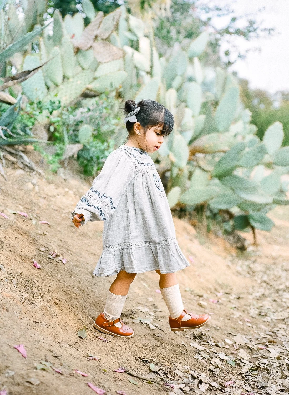 san diego photographer, maternity photography san diego, family photography san diego