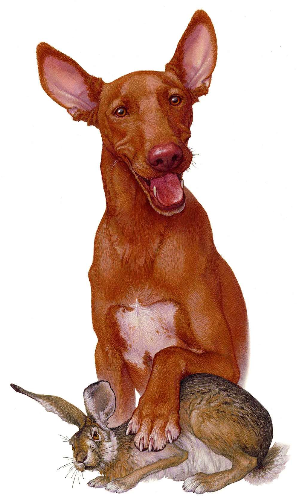 LISA FRENCH_21_1000.jpg